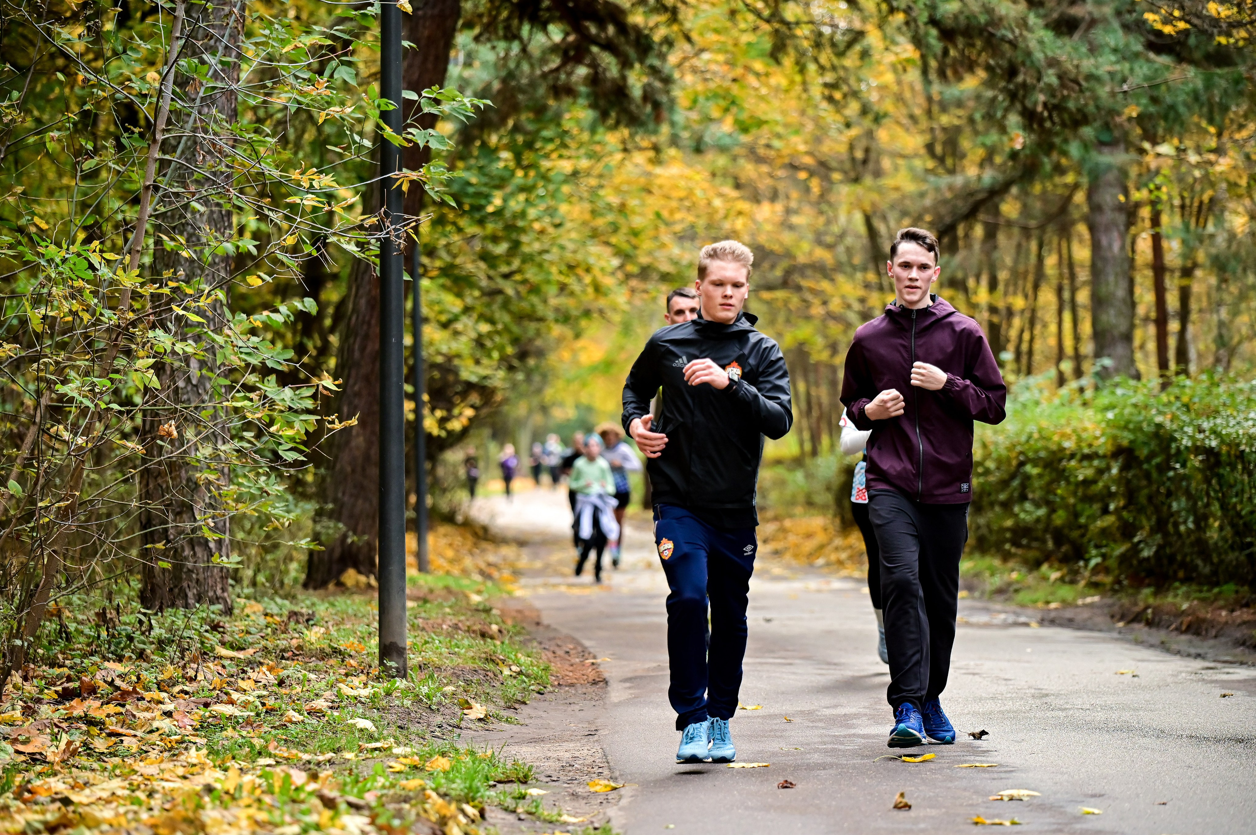 S95 Кузьминки Предмарафонский (12.10.24). Фотограф | Ирина Гамзинова | Москва