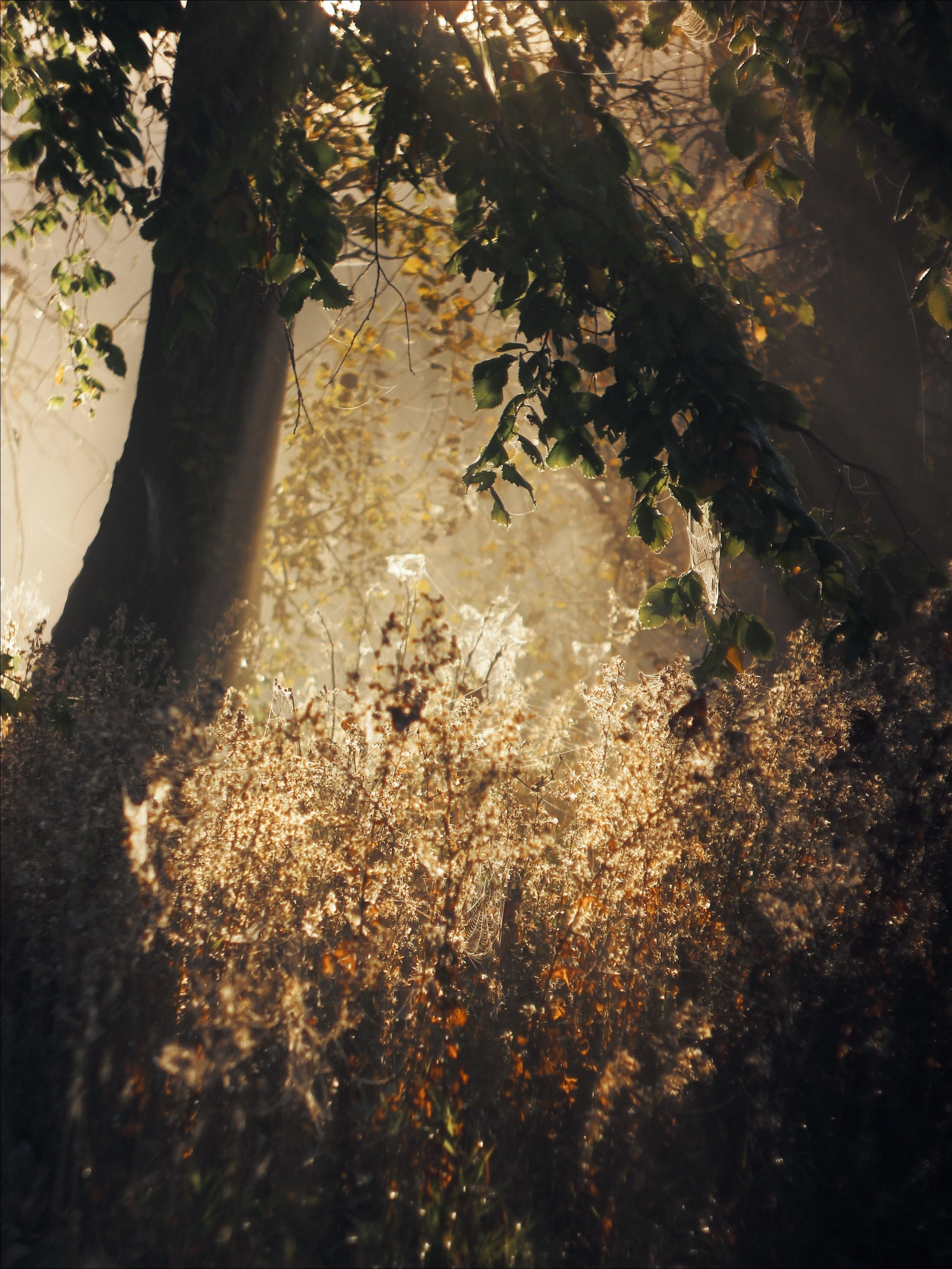 Опустошенность. С любовью, фотохудожник