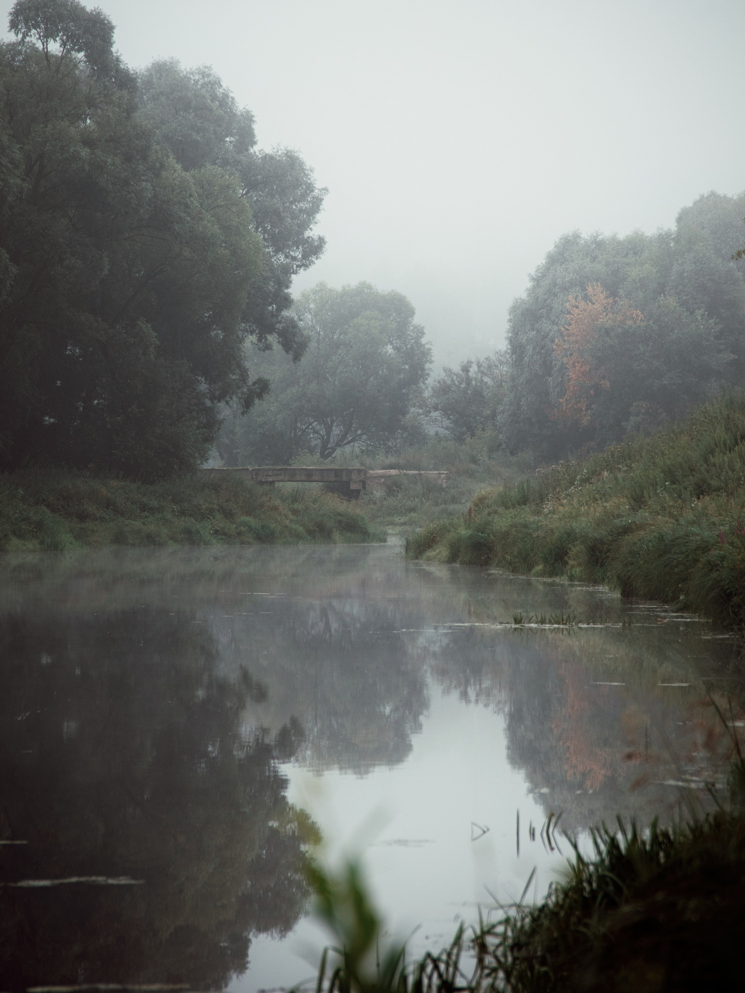 Застывшая утренняя тишина. С любовью, фотохудожник