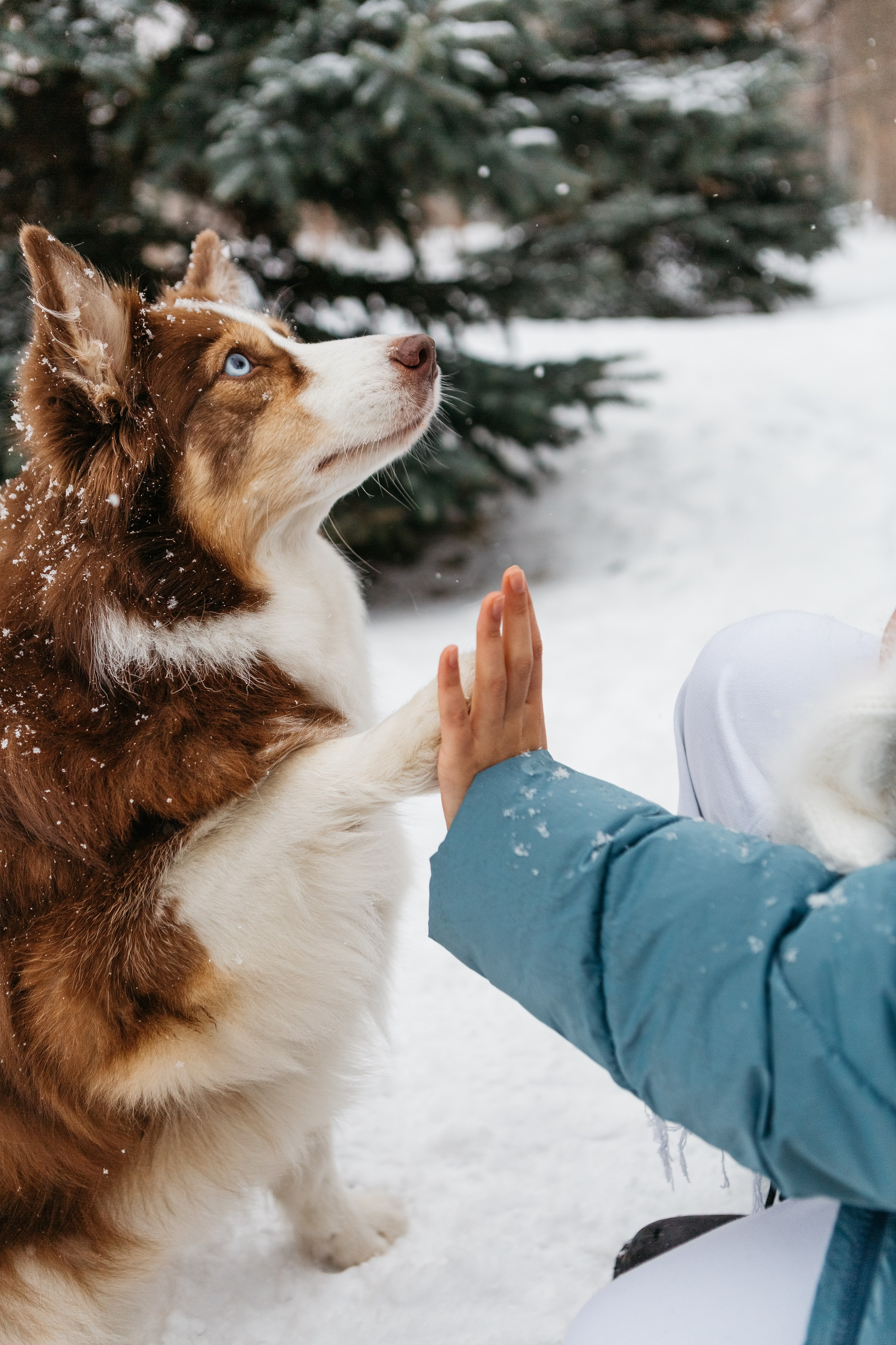 Семейный и портретный фотограф в Санкт-Петербурге