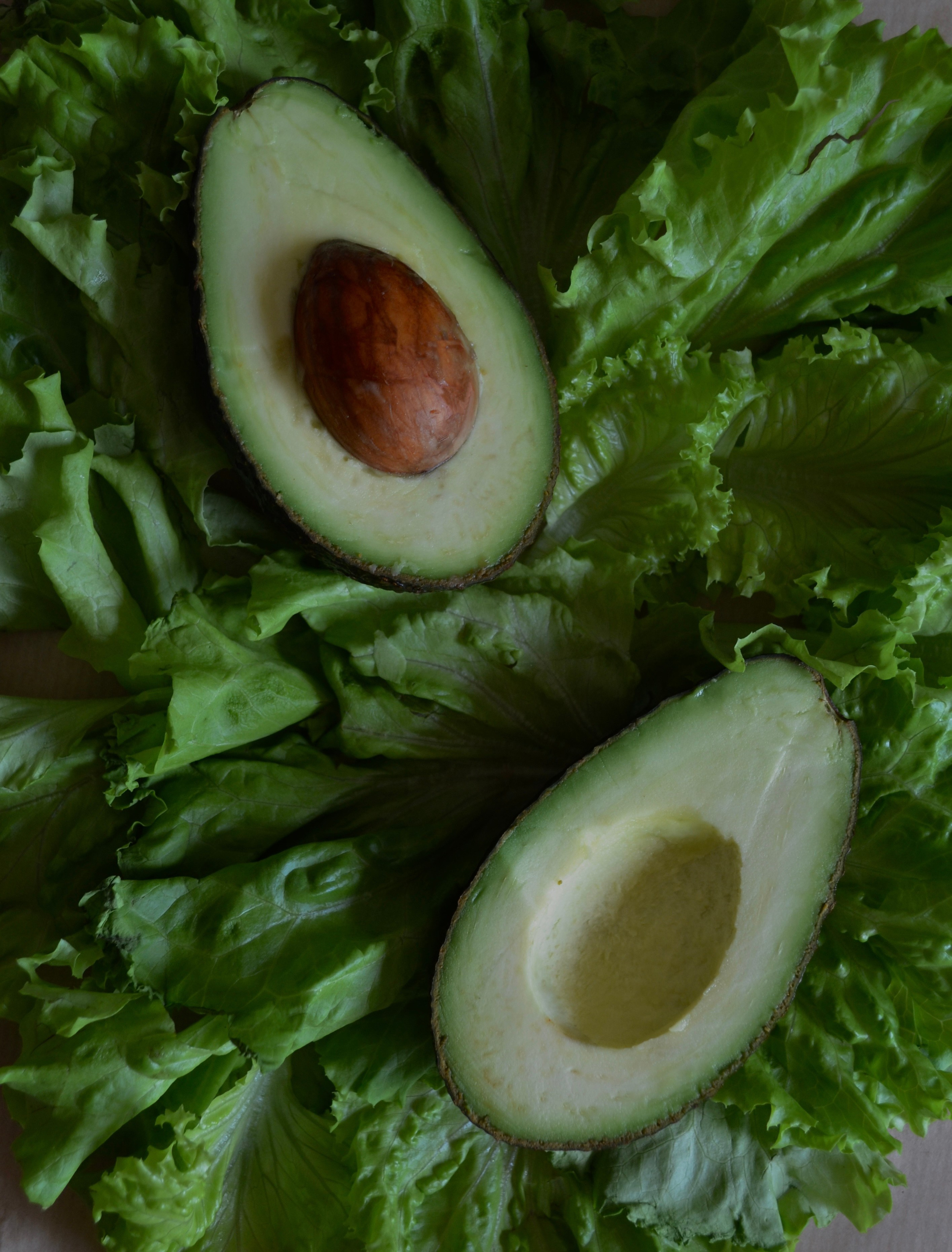 Контент-съемка для тренера. Предметный фотограф, фото для маркетплейсов Пятигорск, КМВ