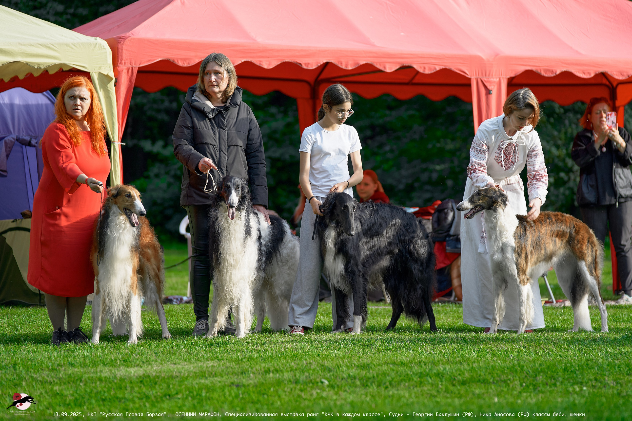 ОСЕННИЙ МАРАФОН | Специализированная выставка породы Русская Псовая Борзая ранг "КЧК в каждом классе"