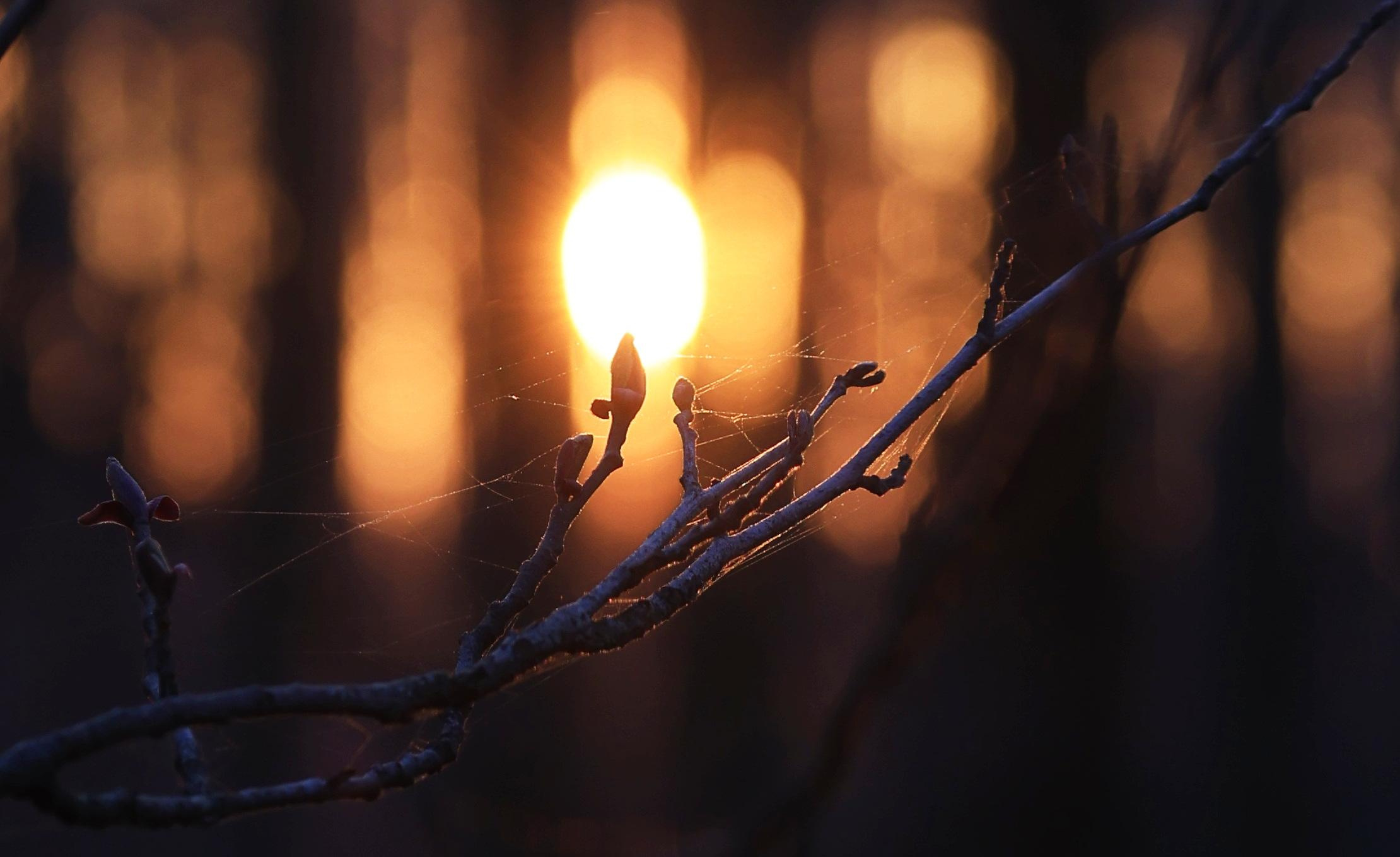 Фотохудожник BID