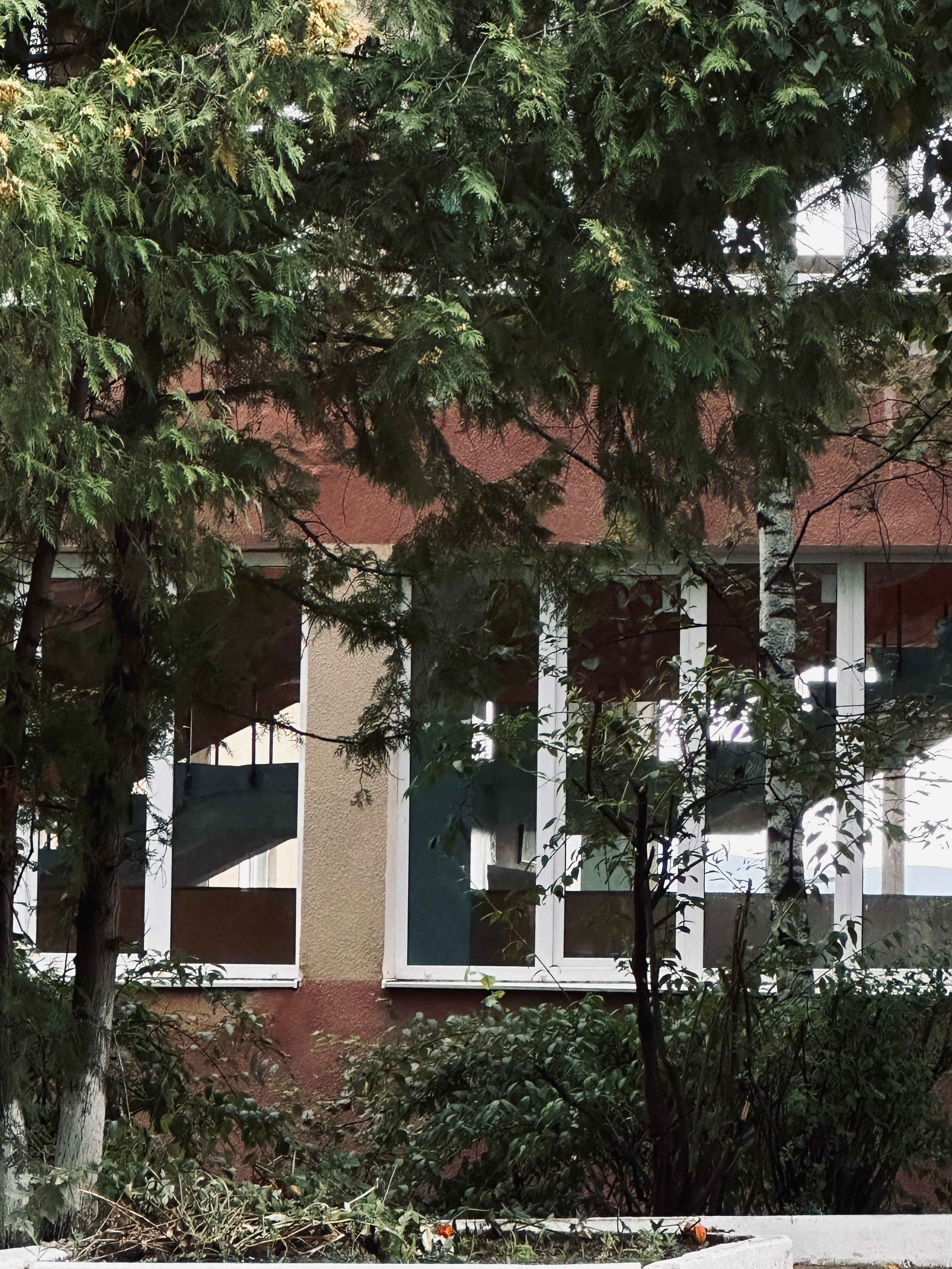 Кисловодск. Смотри, красота!