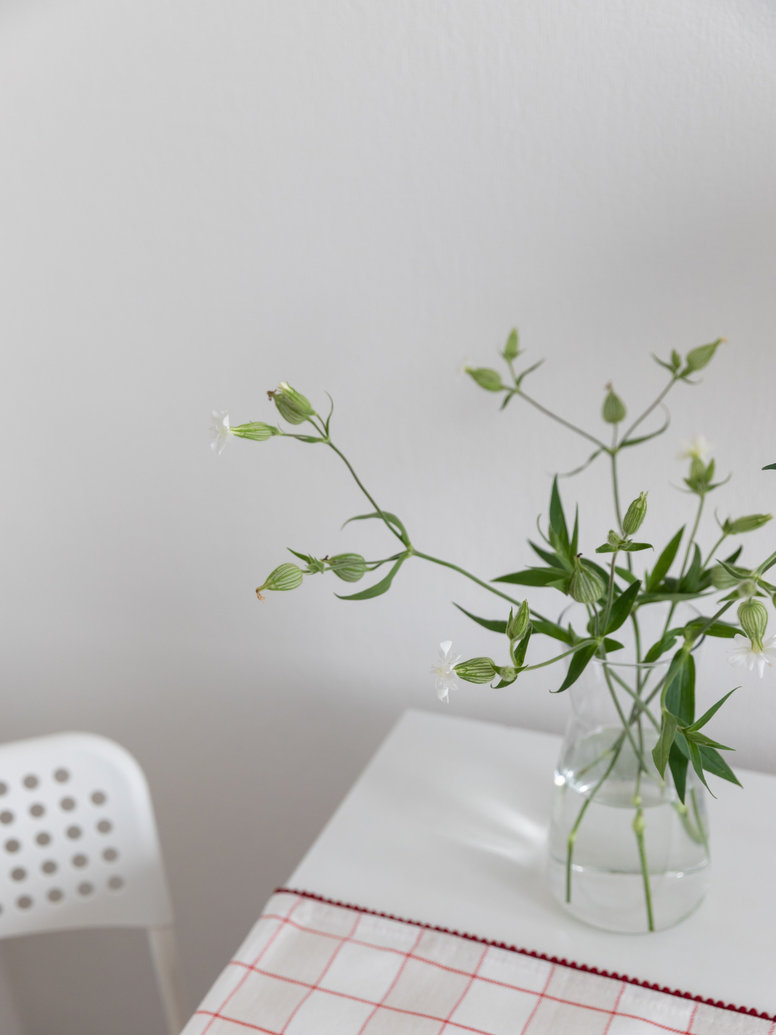 Квартира для продажи в Петербурге. Наталья Мавренкова интерьерный фотограф, декоратор в Санкт-Петербурге