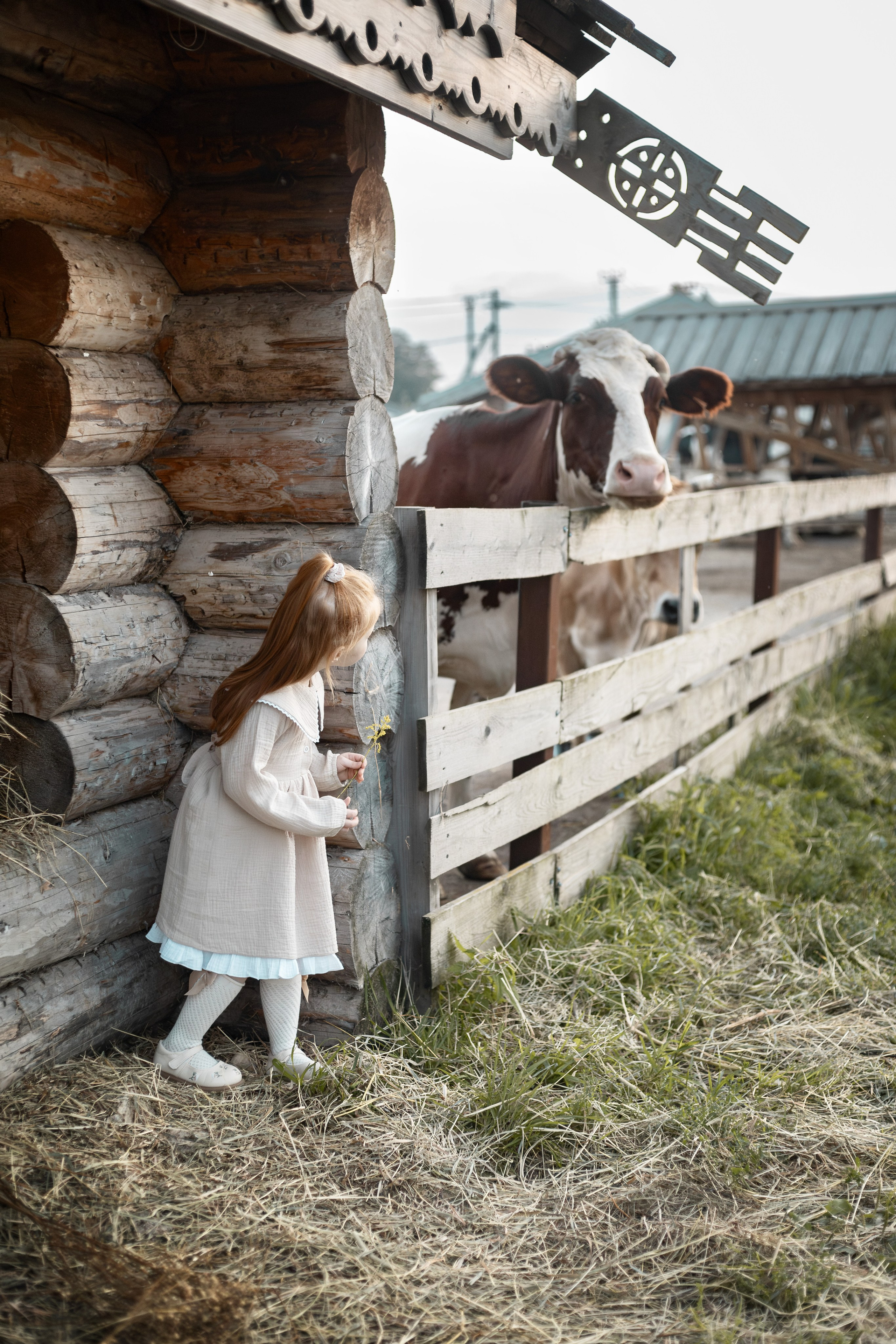 Фотограф семейный Вика Никонова г Балашиха