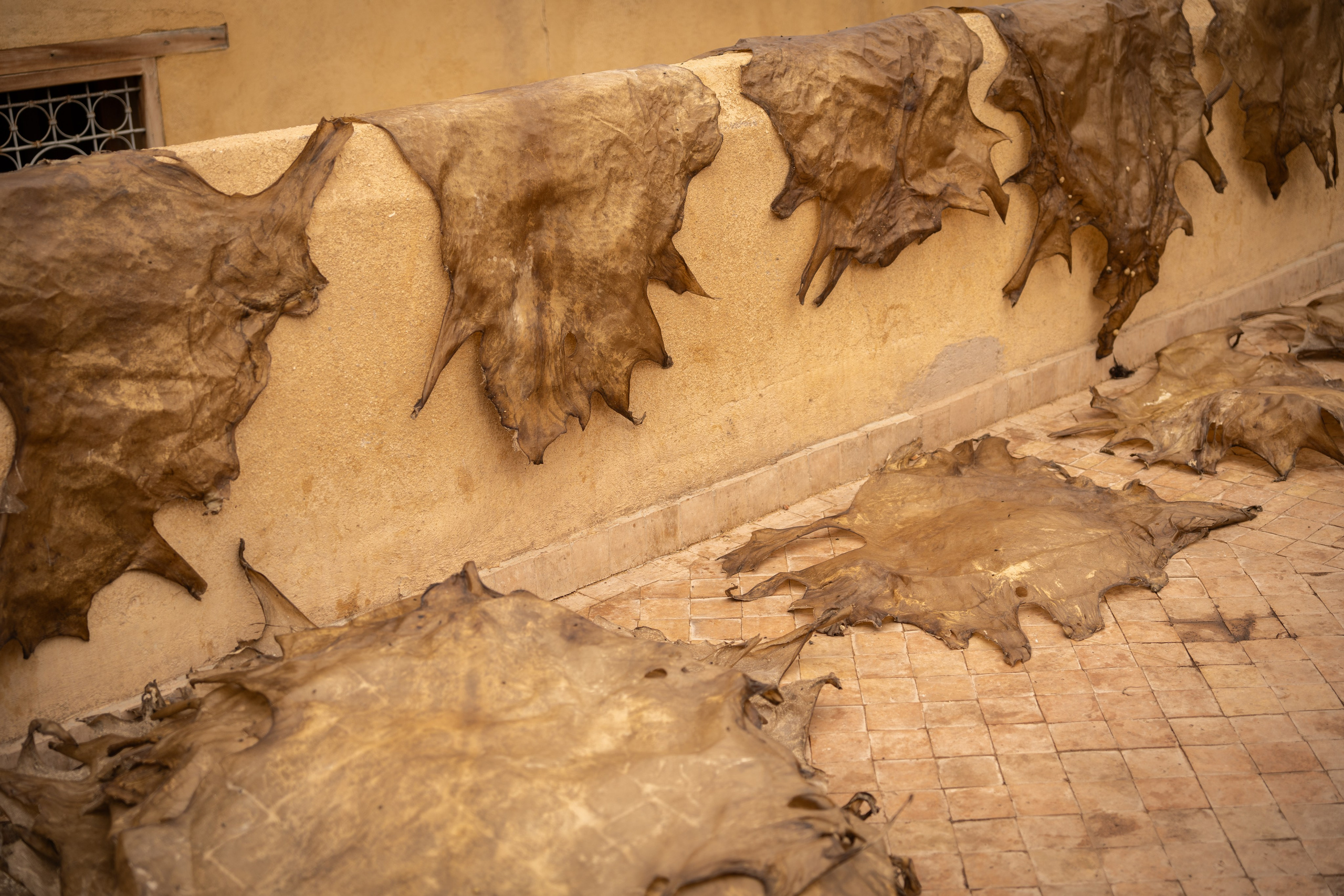 Марокко. Илья Варин — Фотограф Москва, Тверь