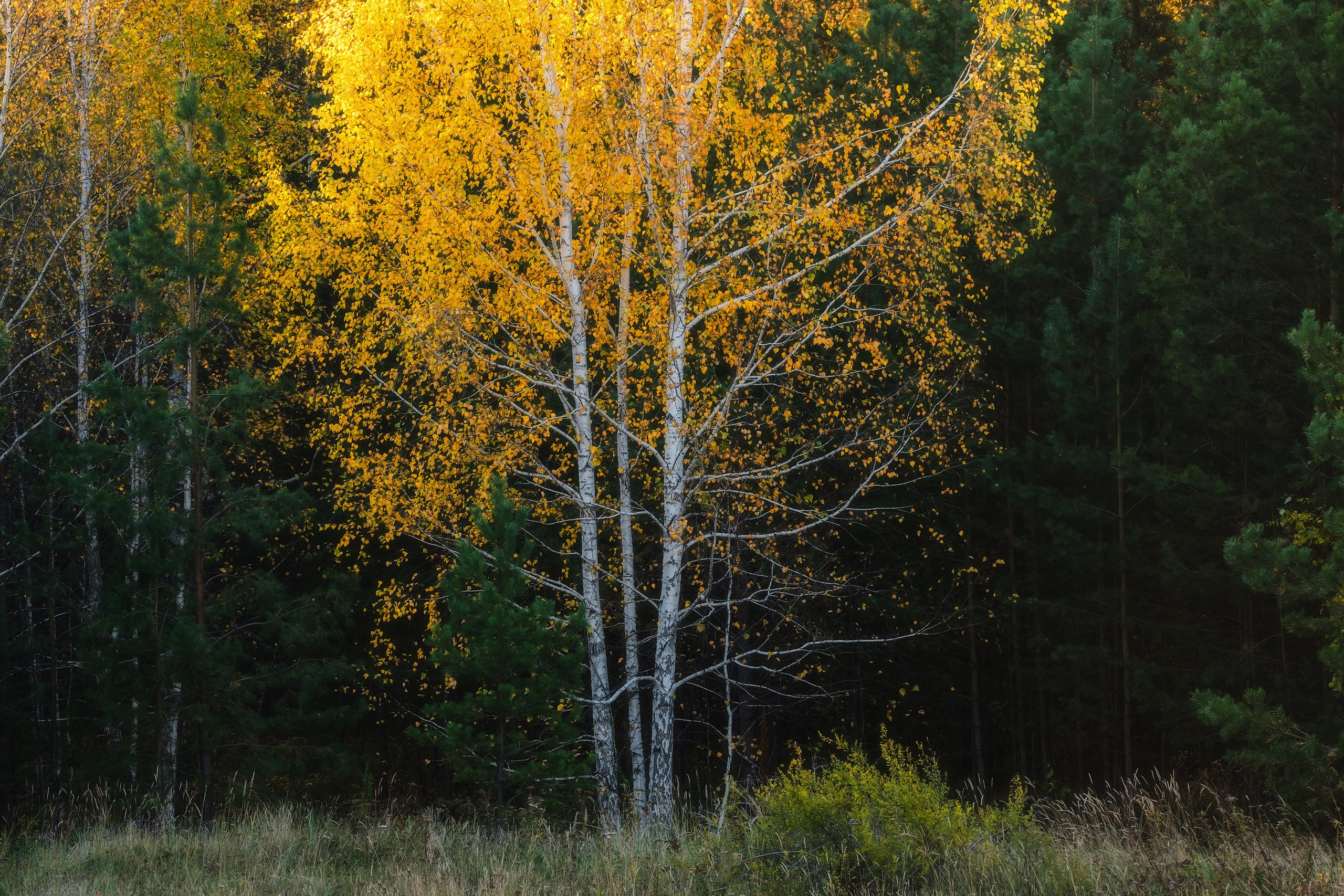 Золотой Башкортостан сентябрь