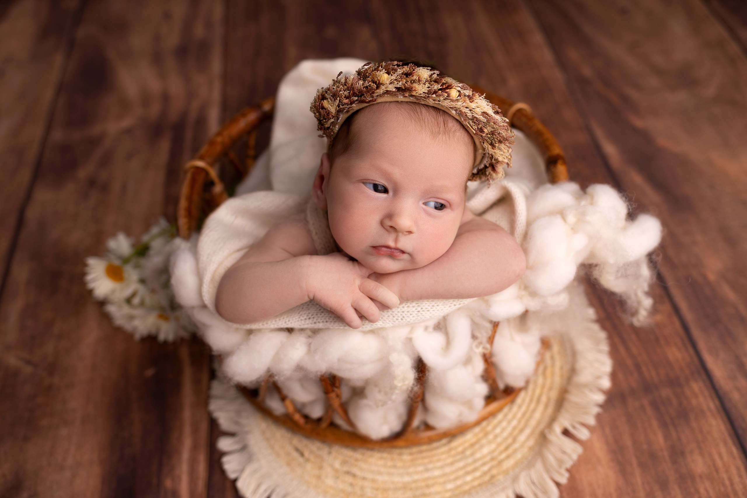 Стоимость услуг. Фотограф новорожденных малышей в Омске и Омской области Эльвира Камаева