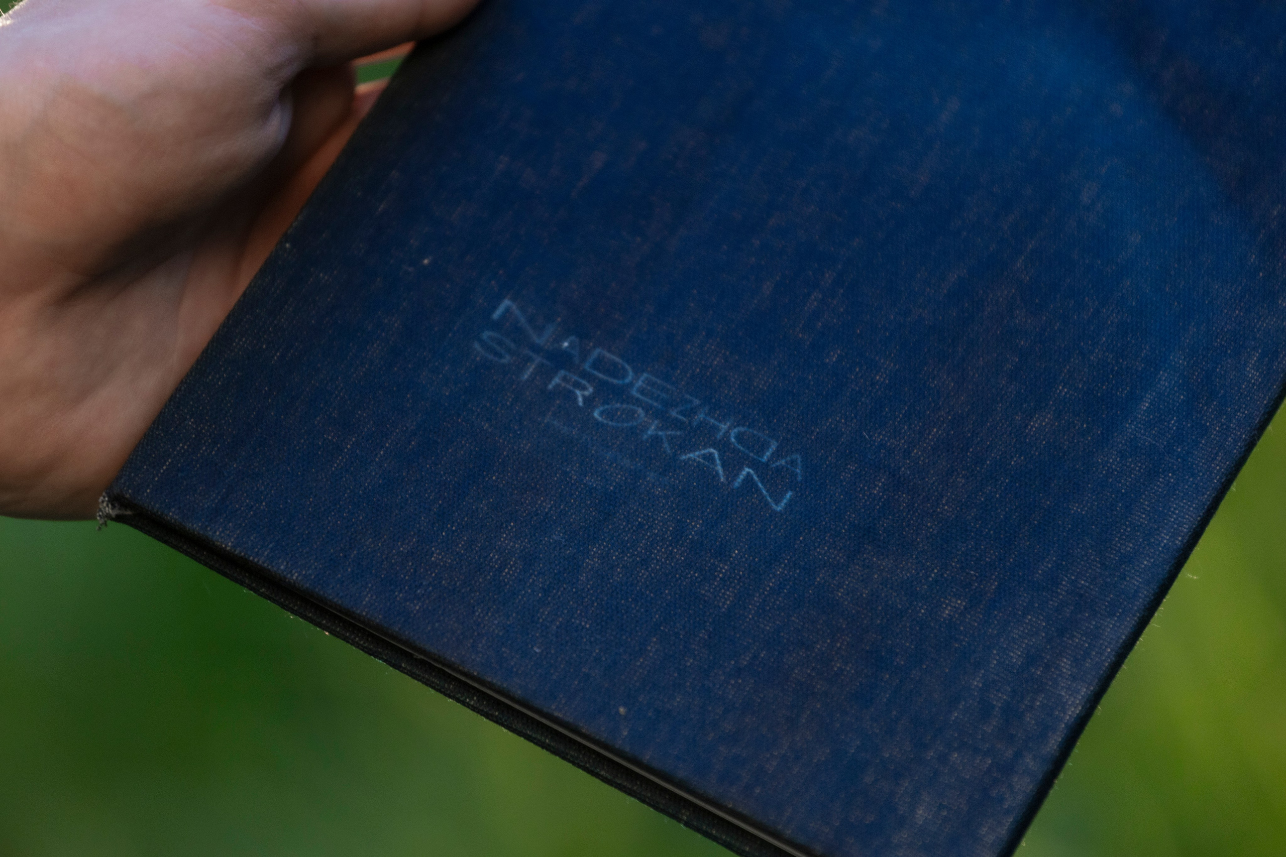 Фотозин «Светлячки в темноте»