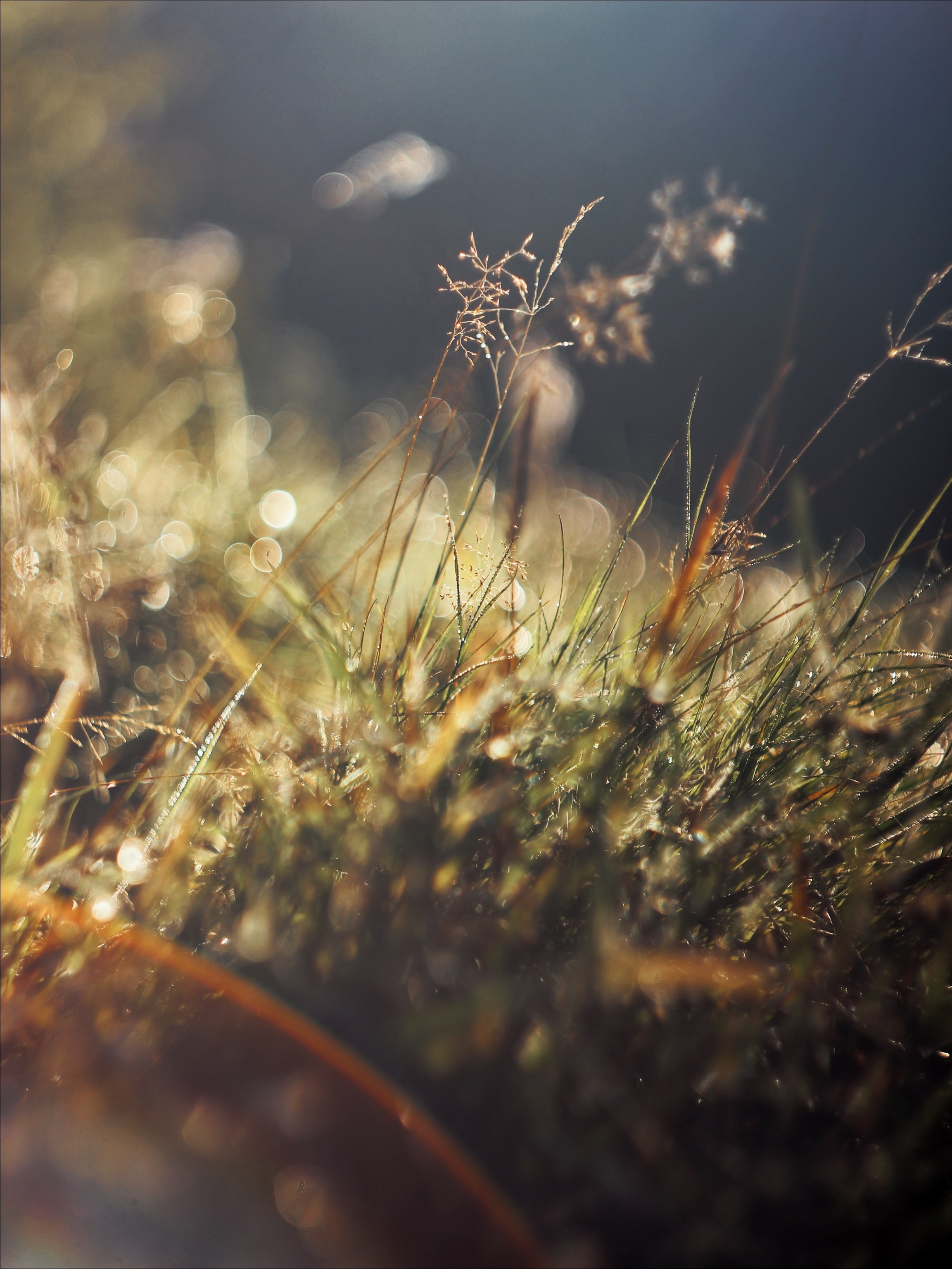 Опустошенность. С любовью, фотохудожник