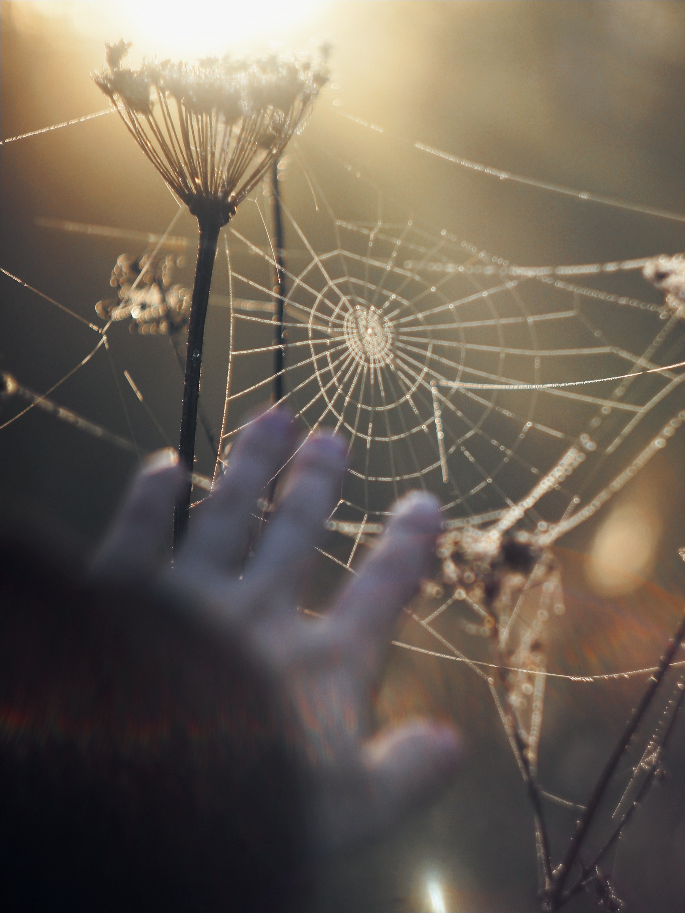 Опустошенность. С любовью, фотохудожник