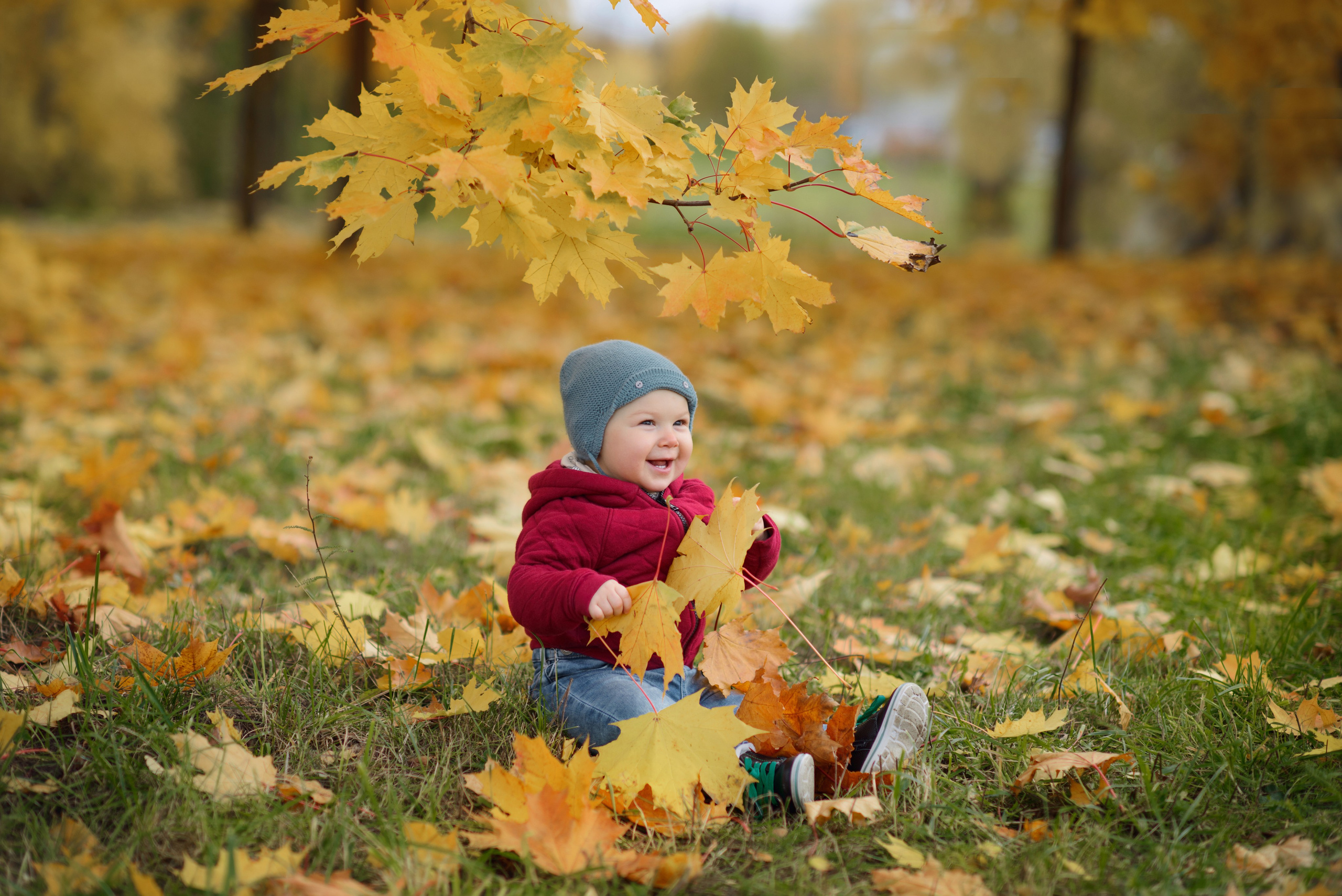 Photo shoot of a little child in autumn. Photos with yellow leaves