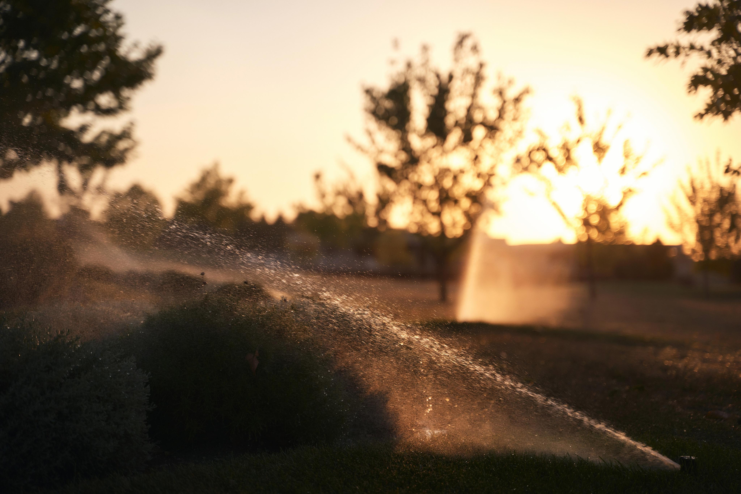 LOVE IS IN THE AIR. ТВИНС СТУДИО — лучшие свадебные фотографы и видеографы в Краснодаре