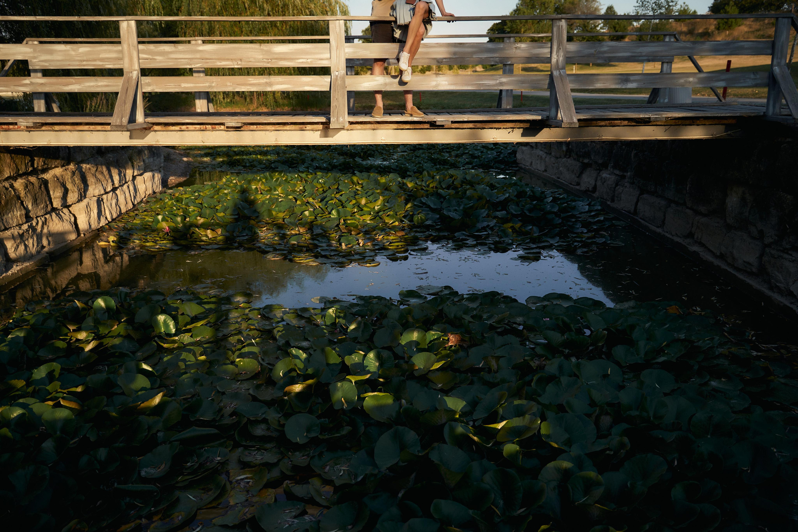 LOVE IS IN THE AIR. ТВИНС СТУДИО — лучшие свадебные фотографы и видеографы в Краснодаре