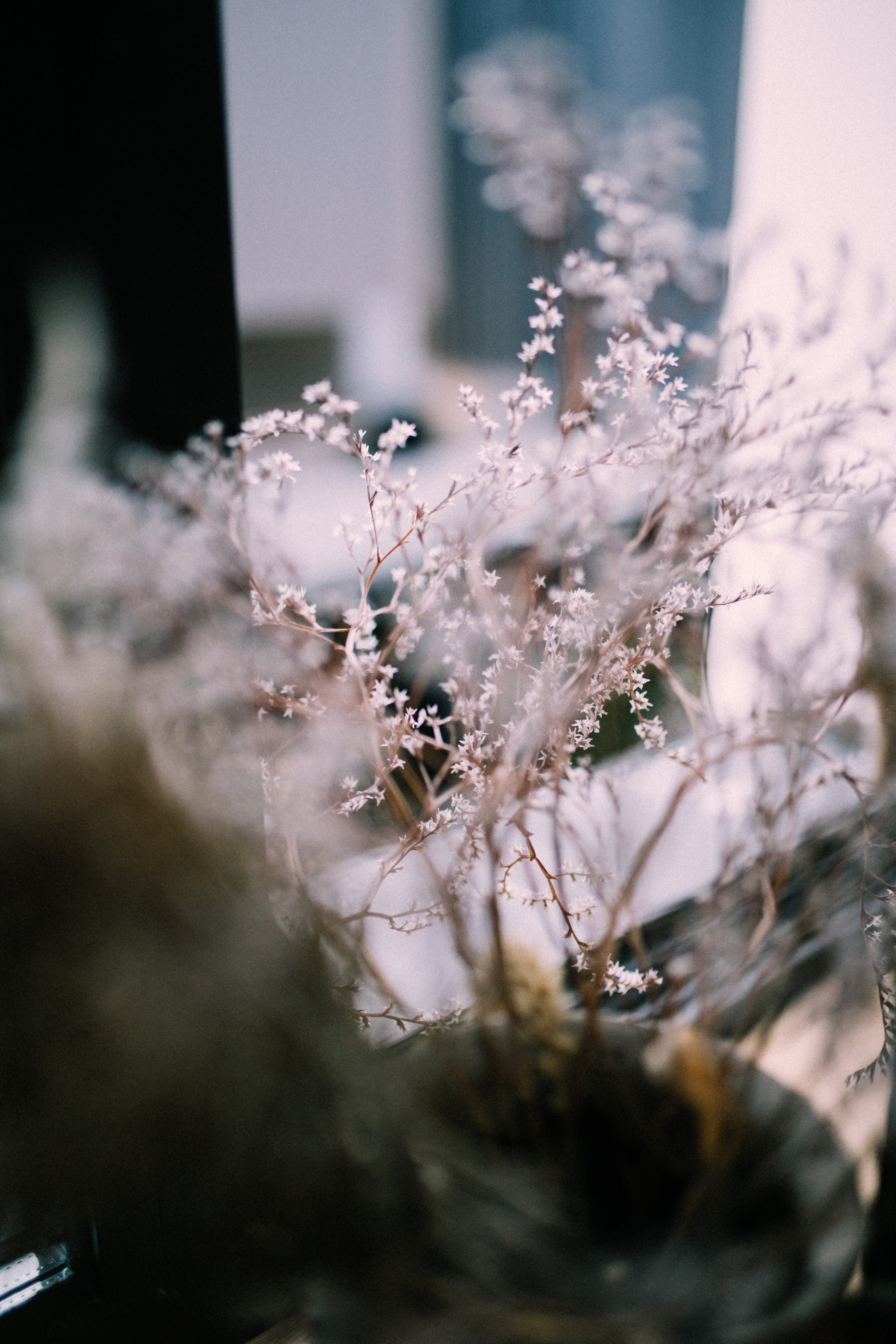 АННАХАТА. Фотограф Лебедева Наталья