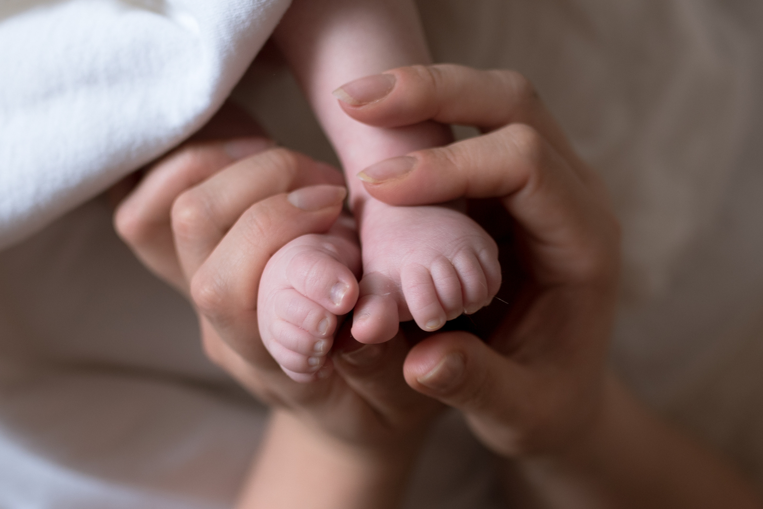 Домашняя съёмка новорожденных, ньюборн съемка,. Семейный фотограф в Ростове-на-Дону Мария Панарина