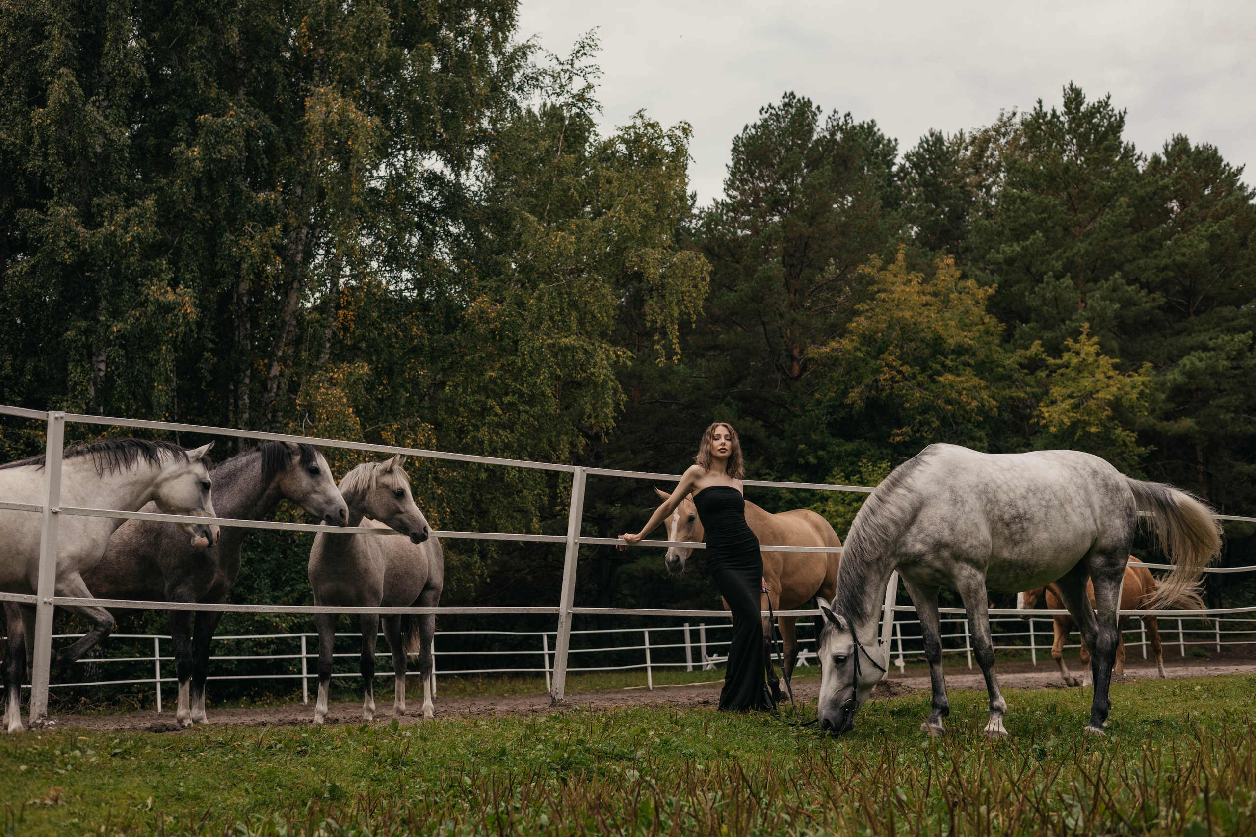 Конная фотосессия. Фотограф Новосибирск Алина Клименкова
