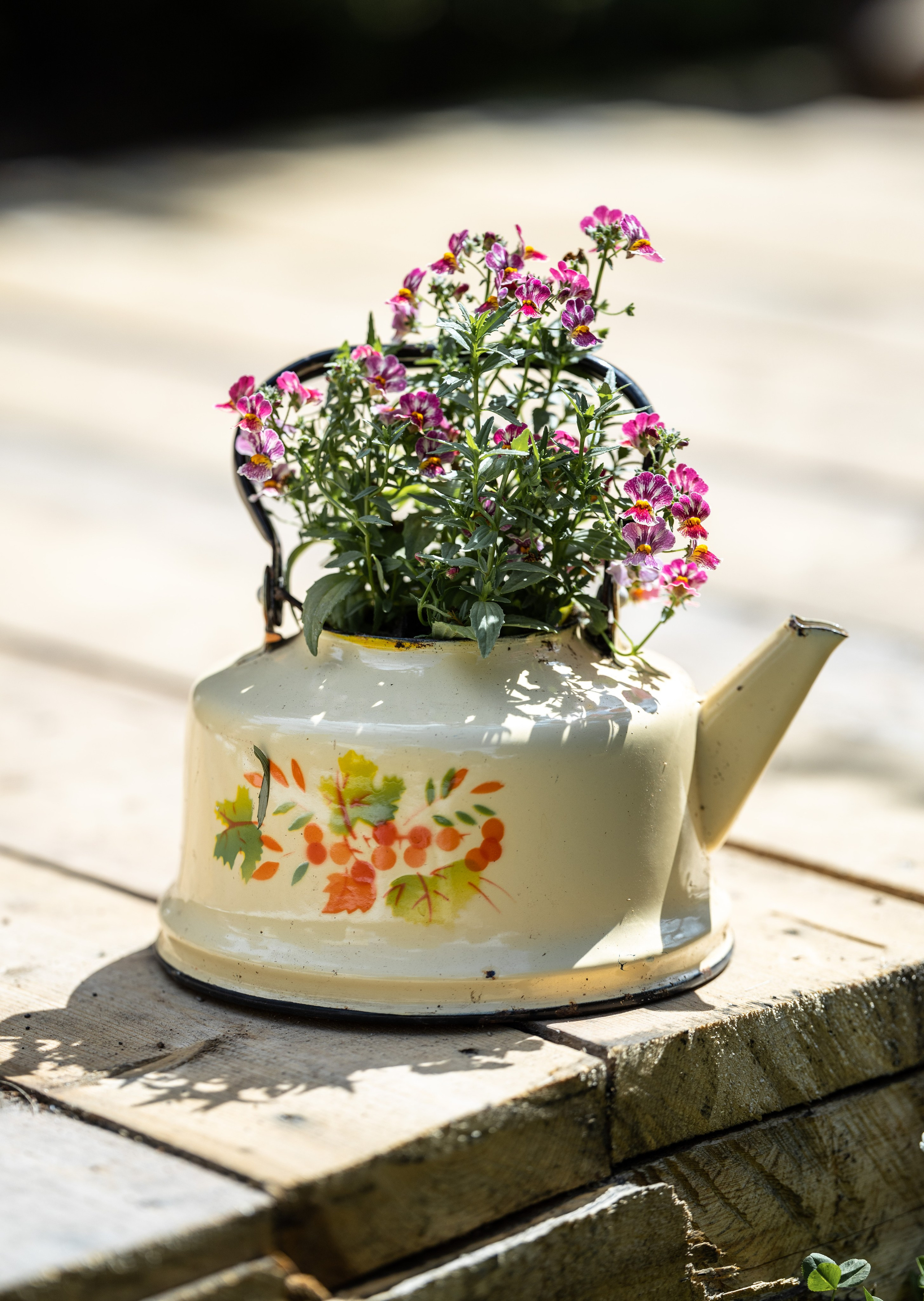 Фотосъёмка в Следово Кострома. Портретный фотограф в Костроме Наталия Клевинскас