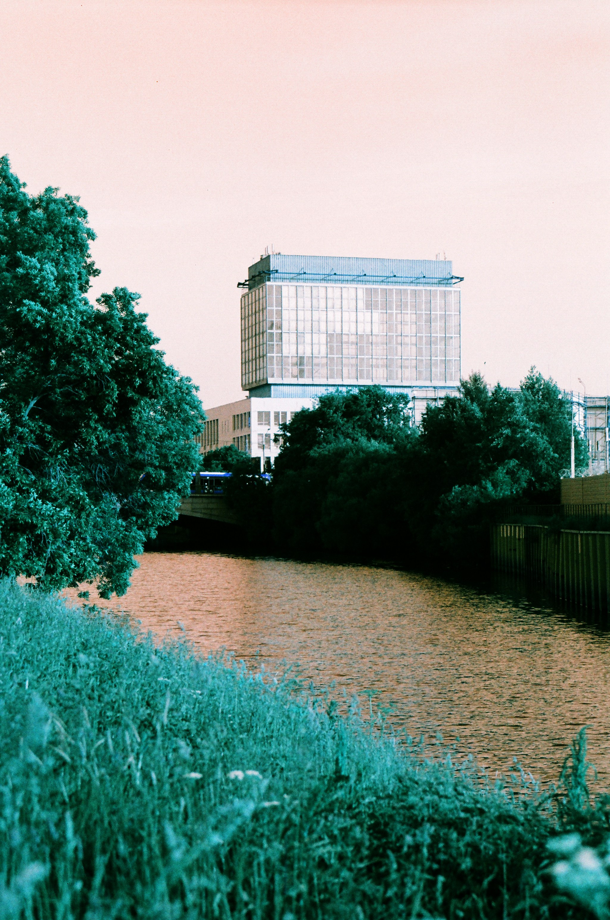 Lomochrome Turquoise. Варвара Цымбал