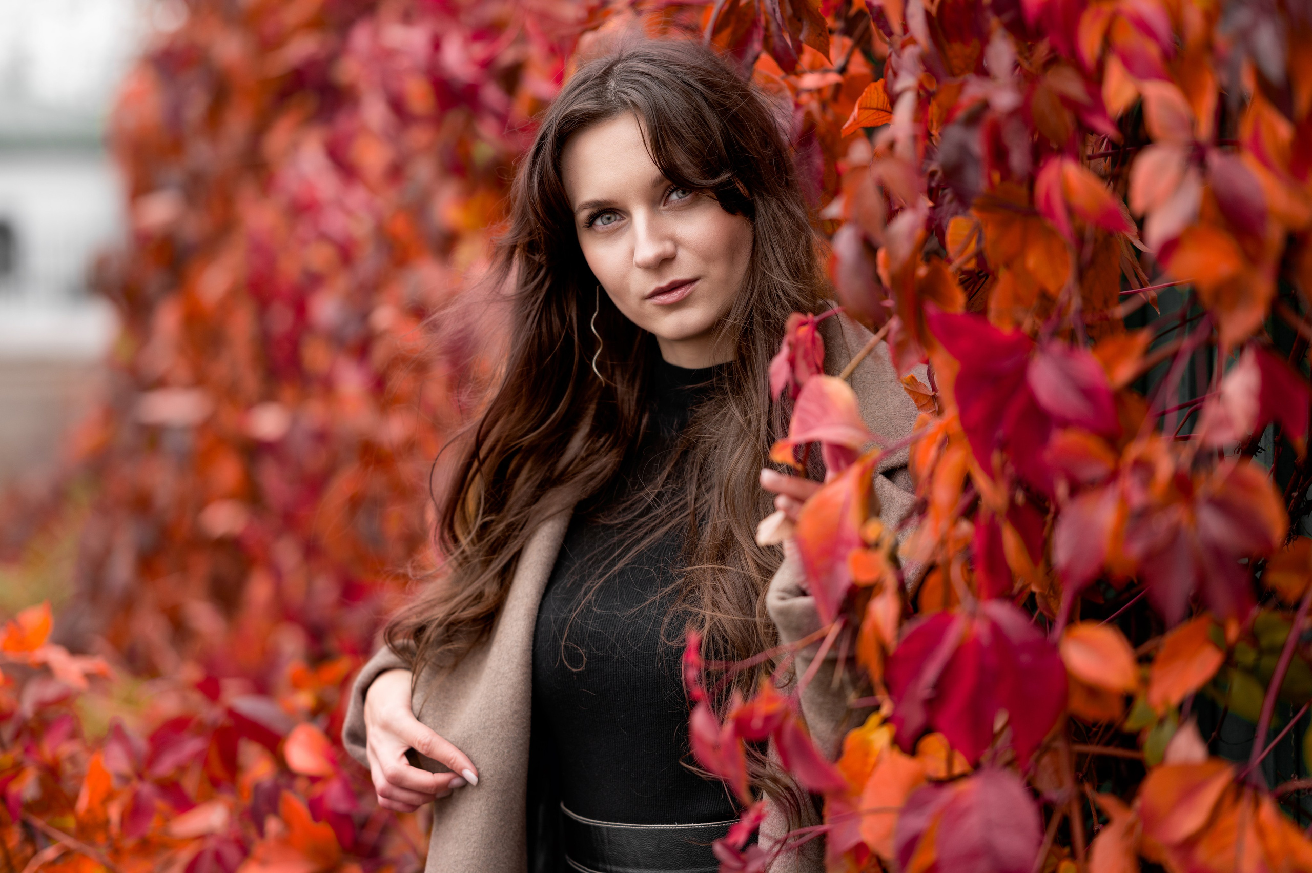 Осенняя прогулочная фотосессия во Владимире на улице Спасская.