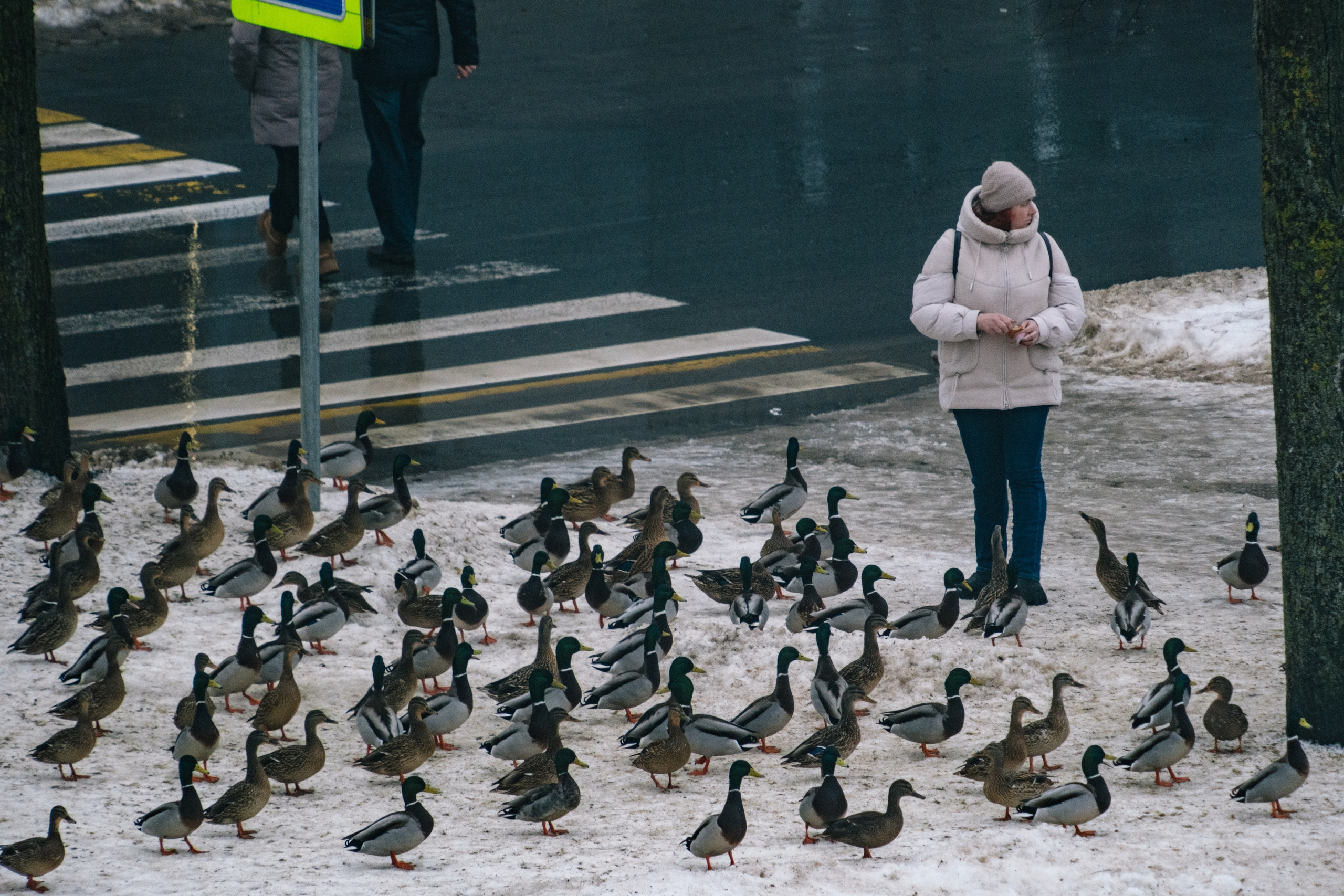 Великий Новгород моими глазами. Детский, семейный и ньюборн фотограф в Москве Юлия Шуарт