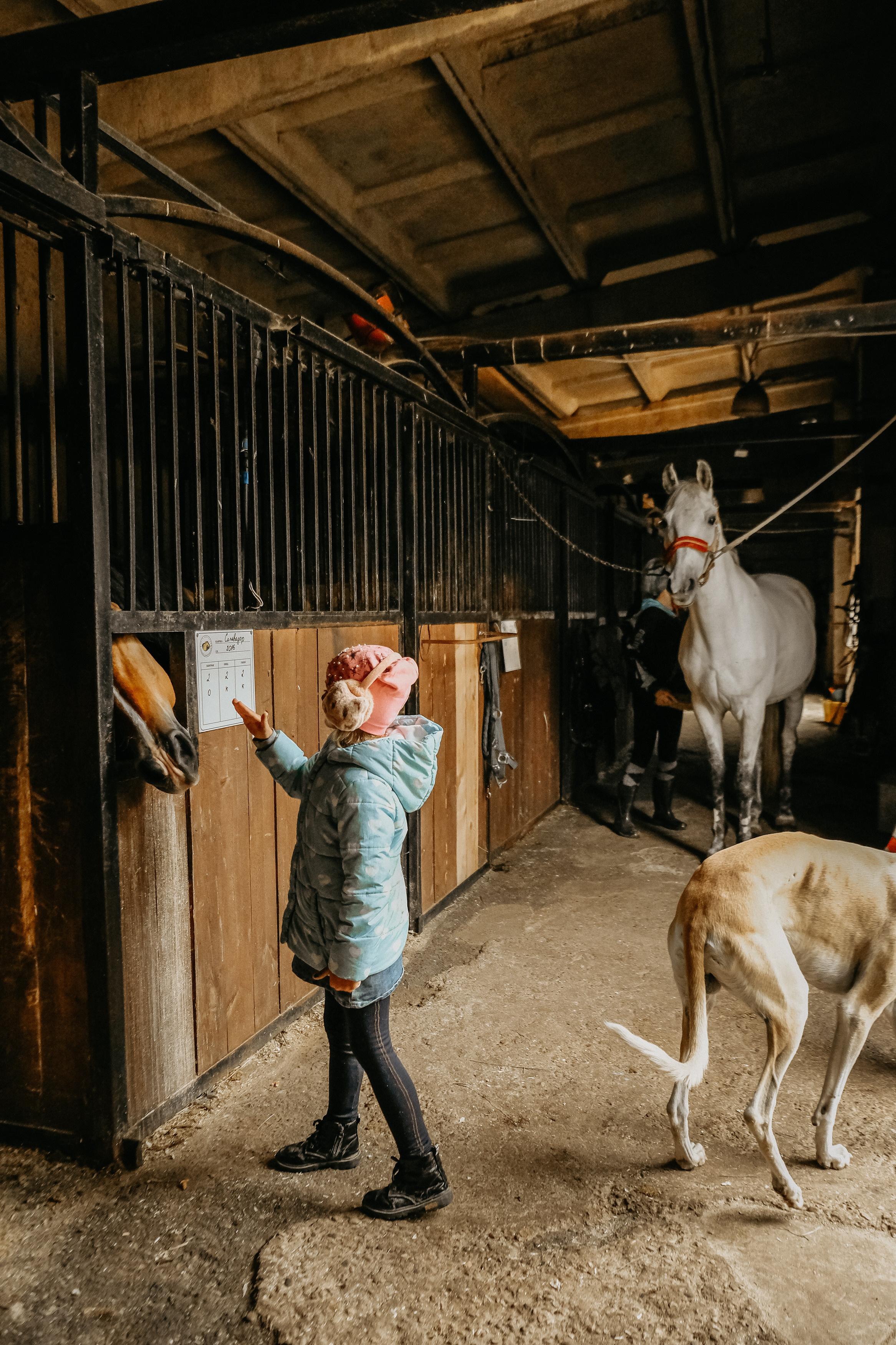 Курс «Жизнь в кадре». Самойленко Надежда фотограф