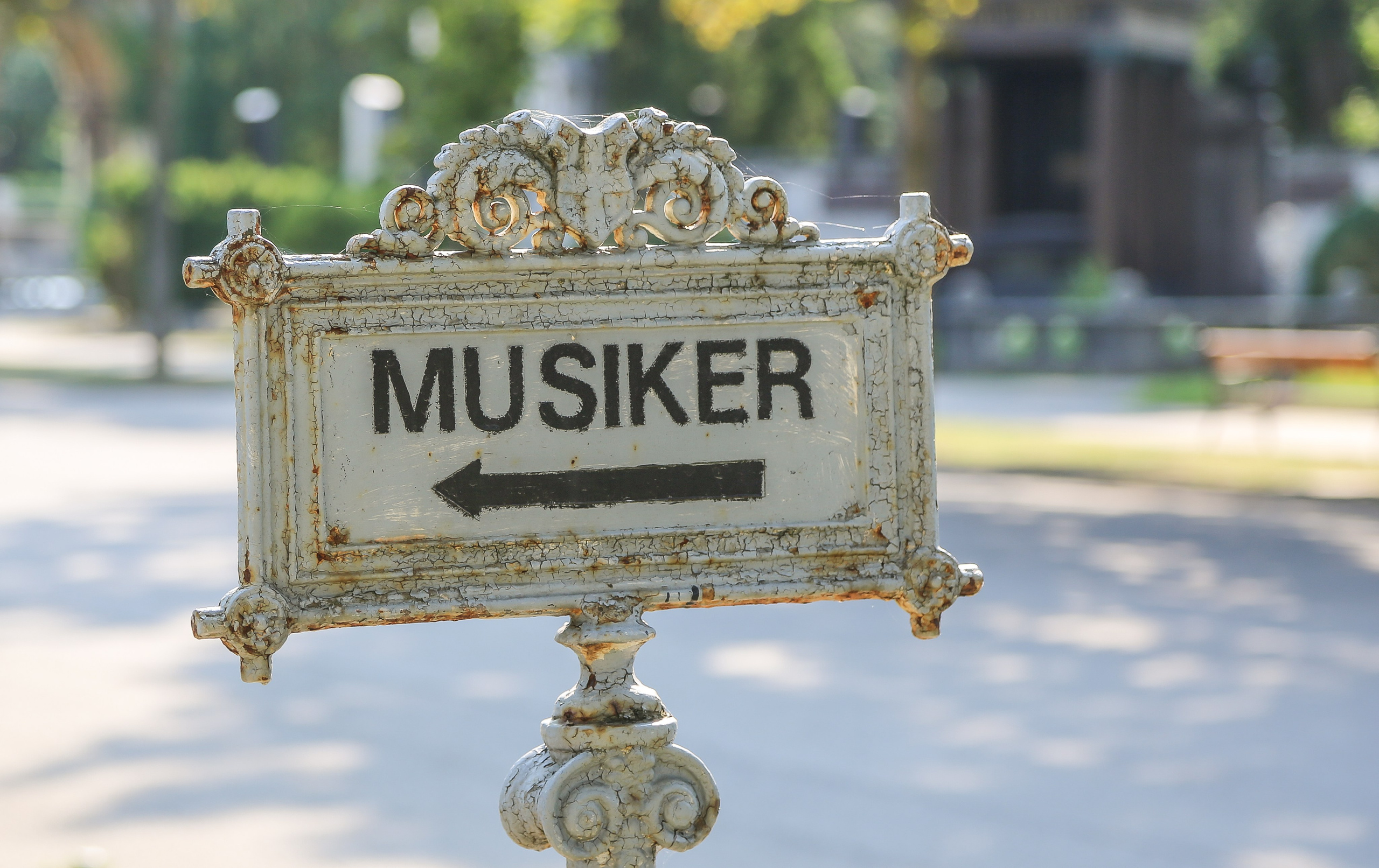 Австрия: Музыкальная Вена. Дарья Письменюк / Darya Leitstern — фотограф, музыкант, журналист, путешественник