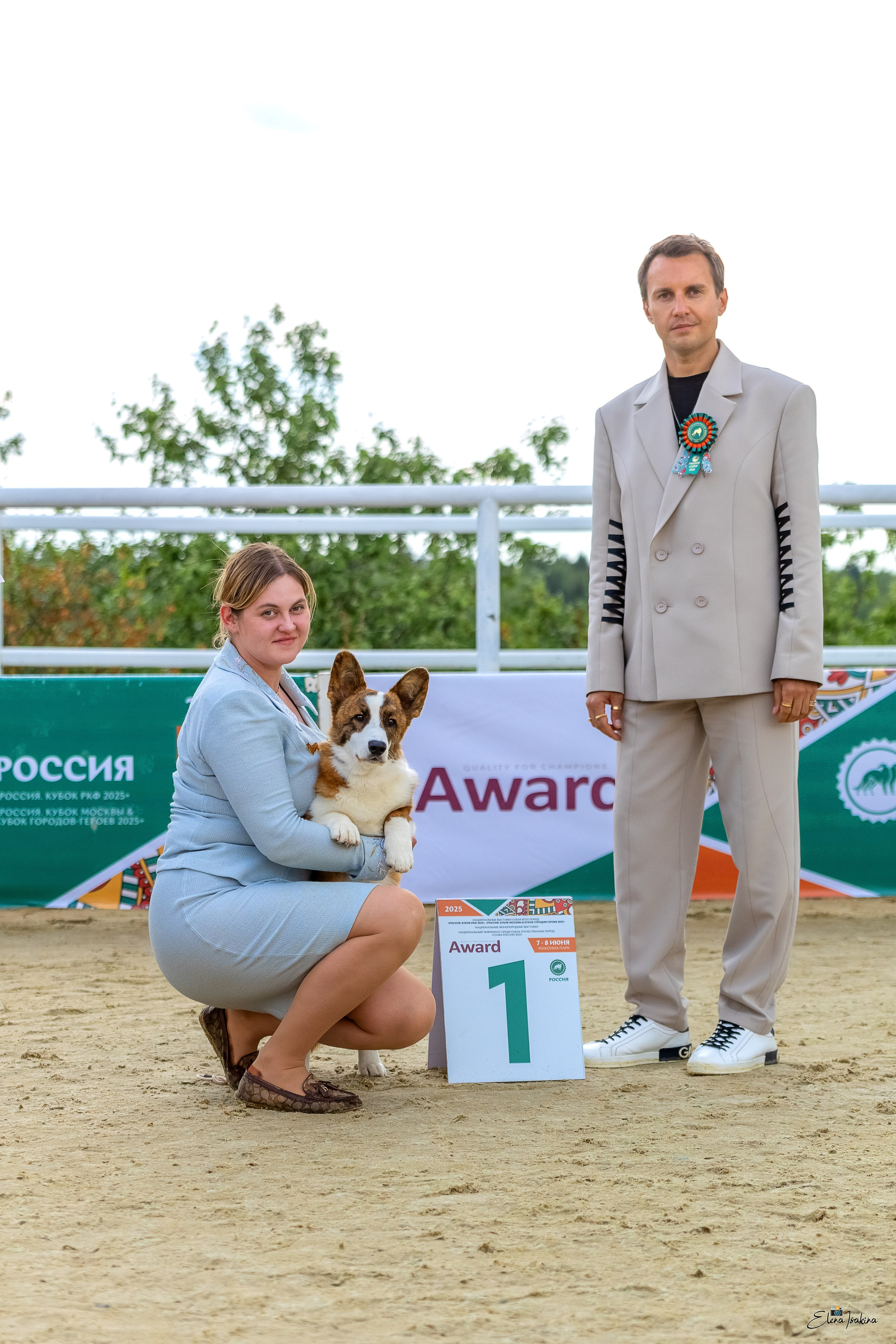 Россия 2025. Купить щенка Вельш-корги-кардиган в семейном питомнике — Ice Fantasy