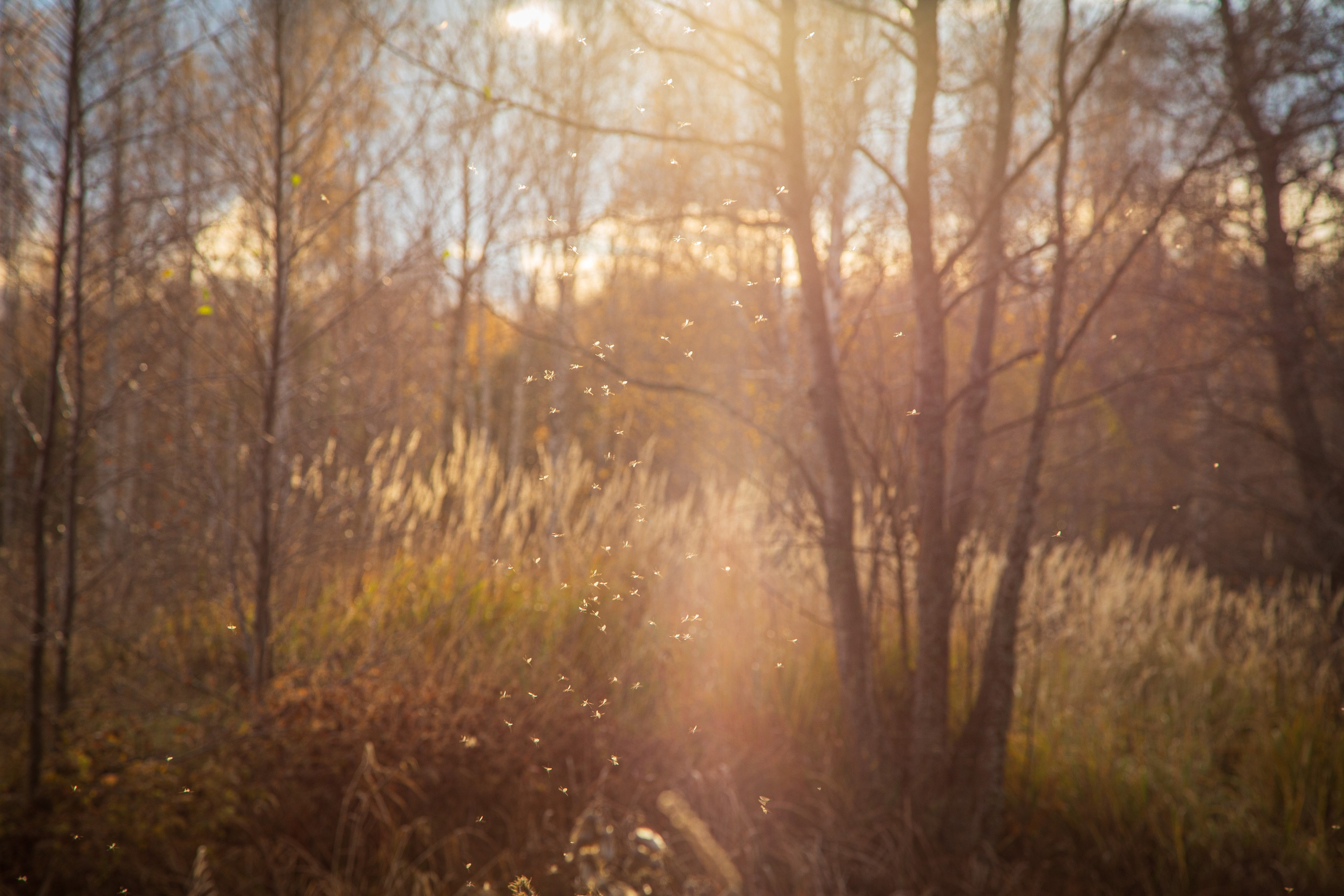 ТВОРЧЕСТВО. Творческая студия АЛНИфото