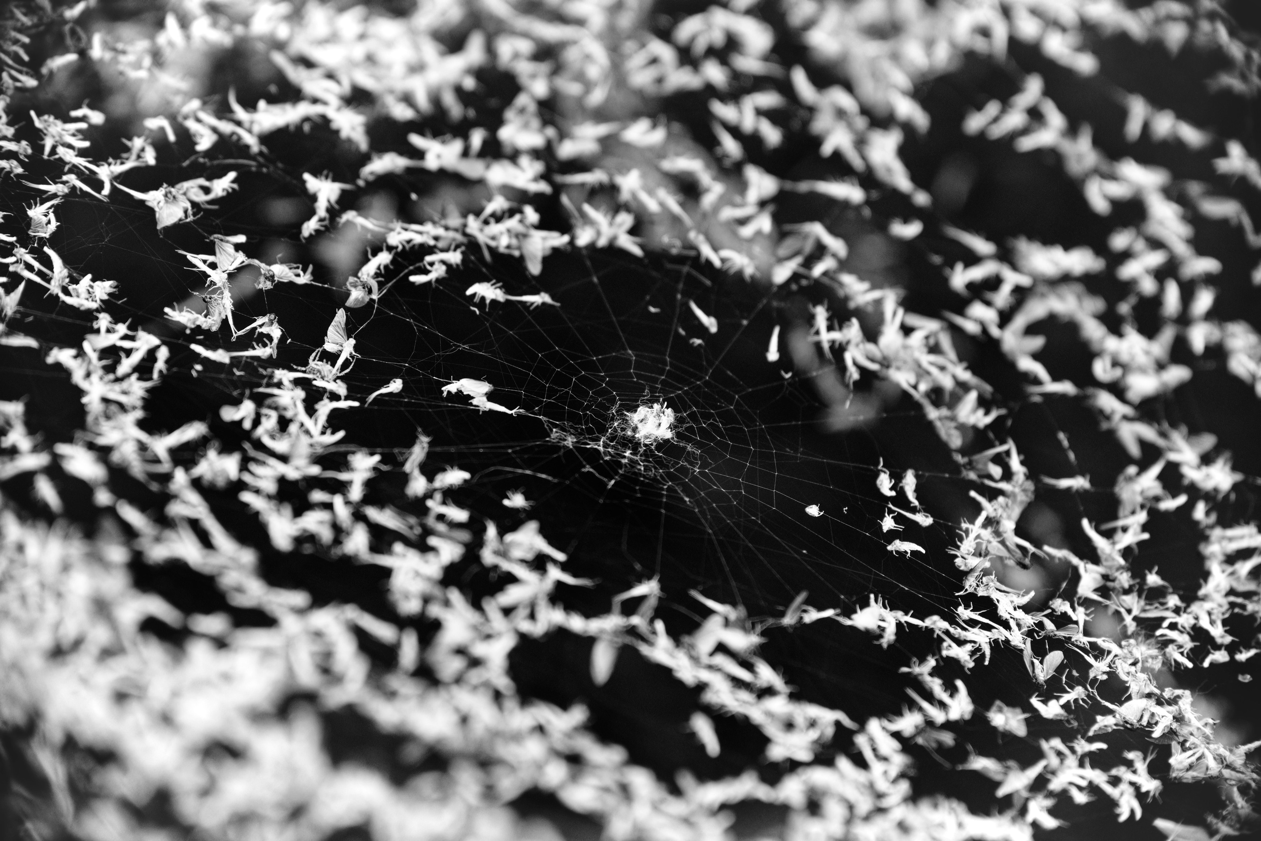 Экспедиция в Монголию (котловина больших озер). Семоха Валерий. Фотограф