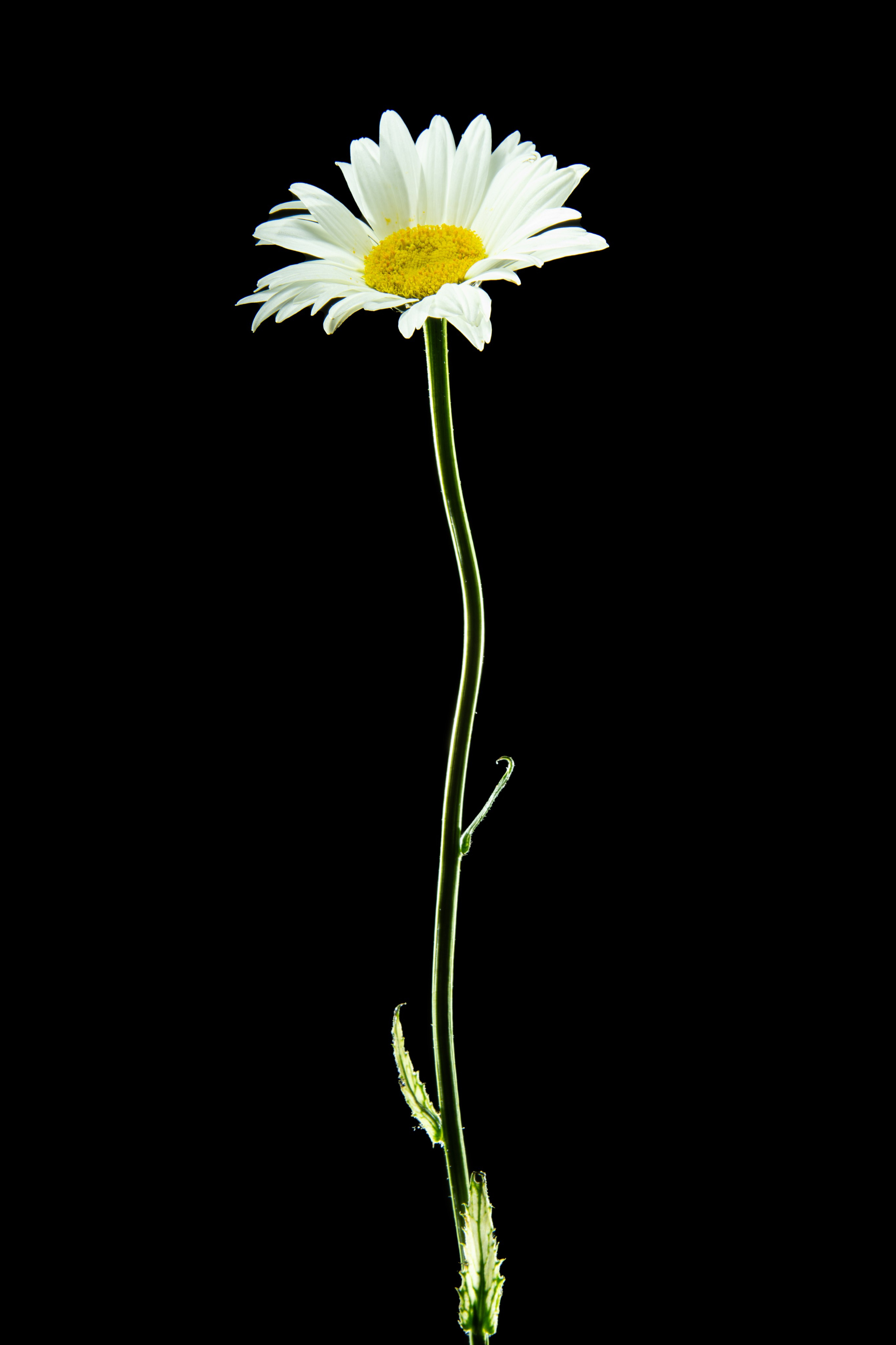 Проекты. Sakunov Photo