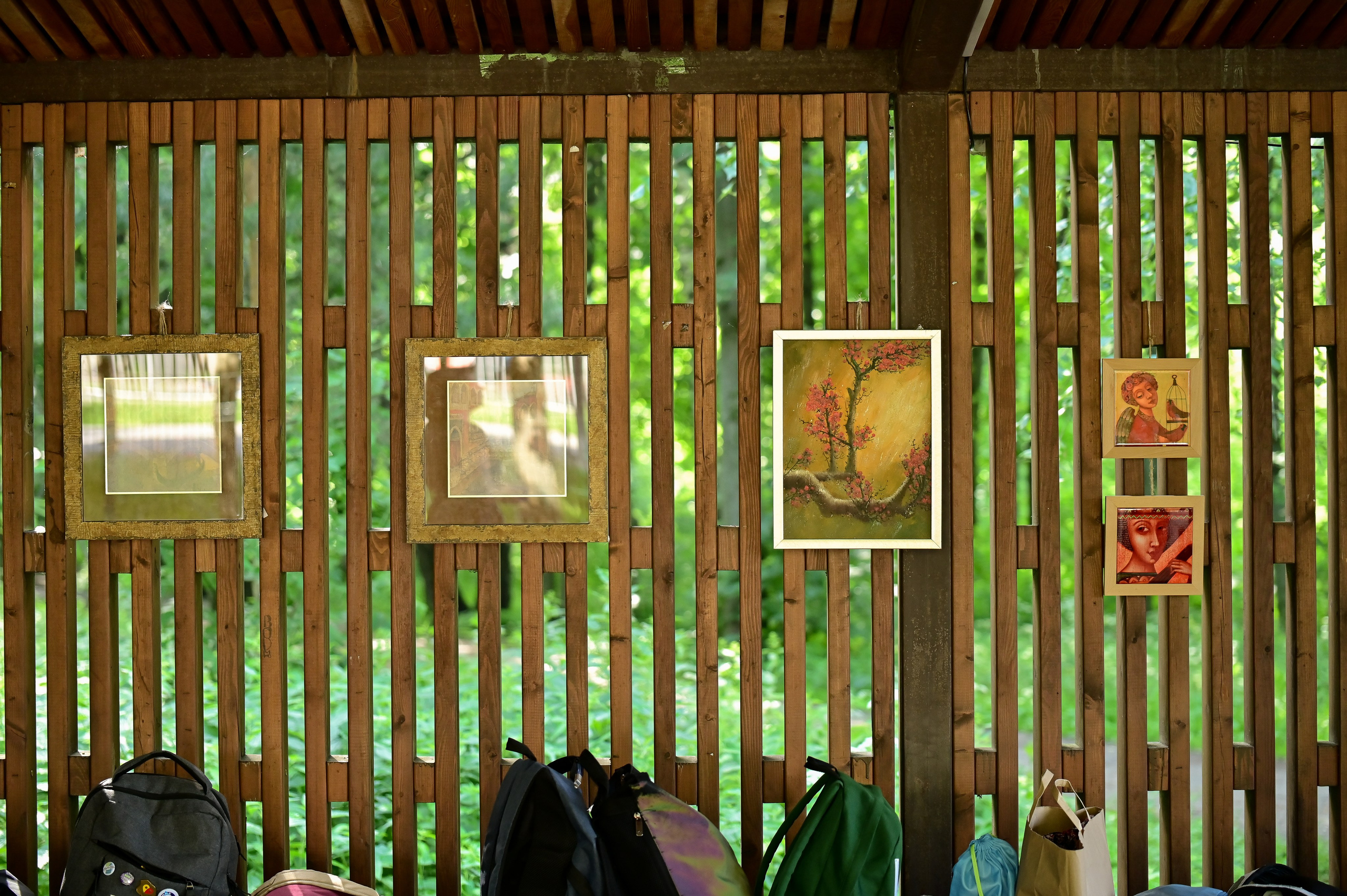 Sat9am5km Кузьминки (15.06.24). Фотограф | Ирина Гамзинова | Москва