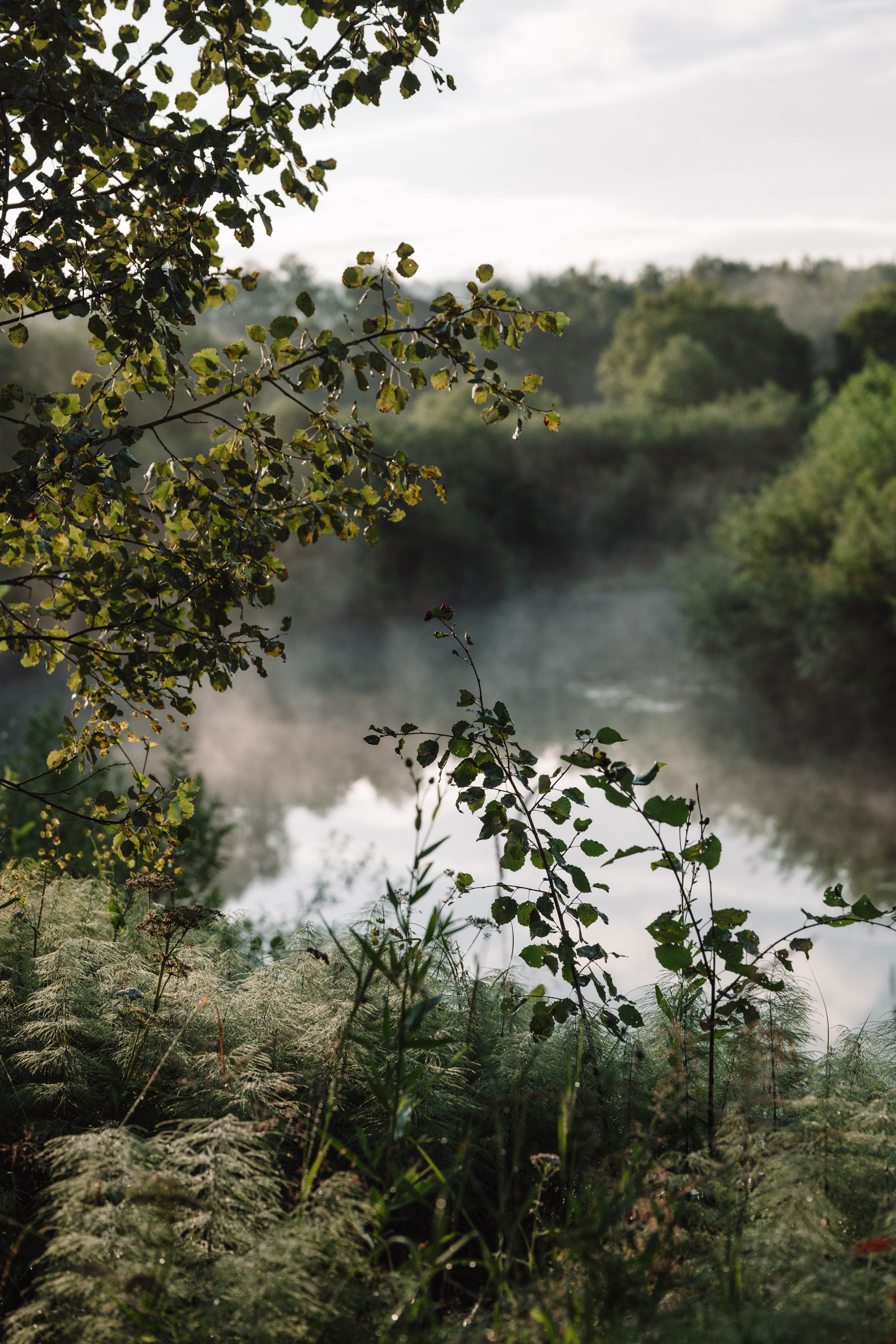 Green. Фотограф Олеся Кавлакан