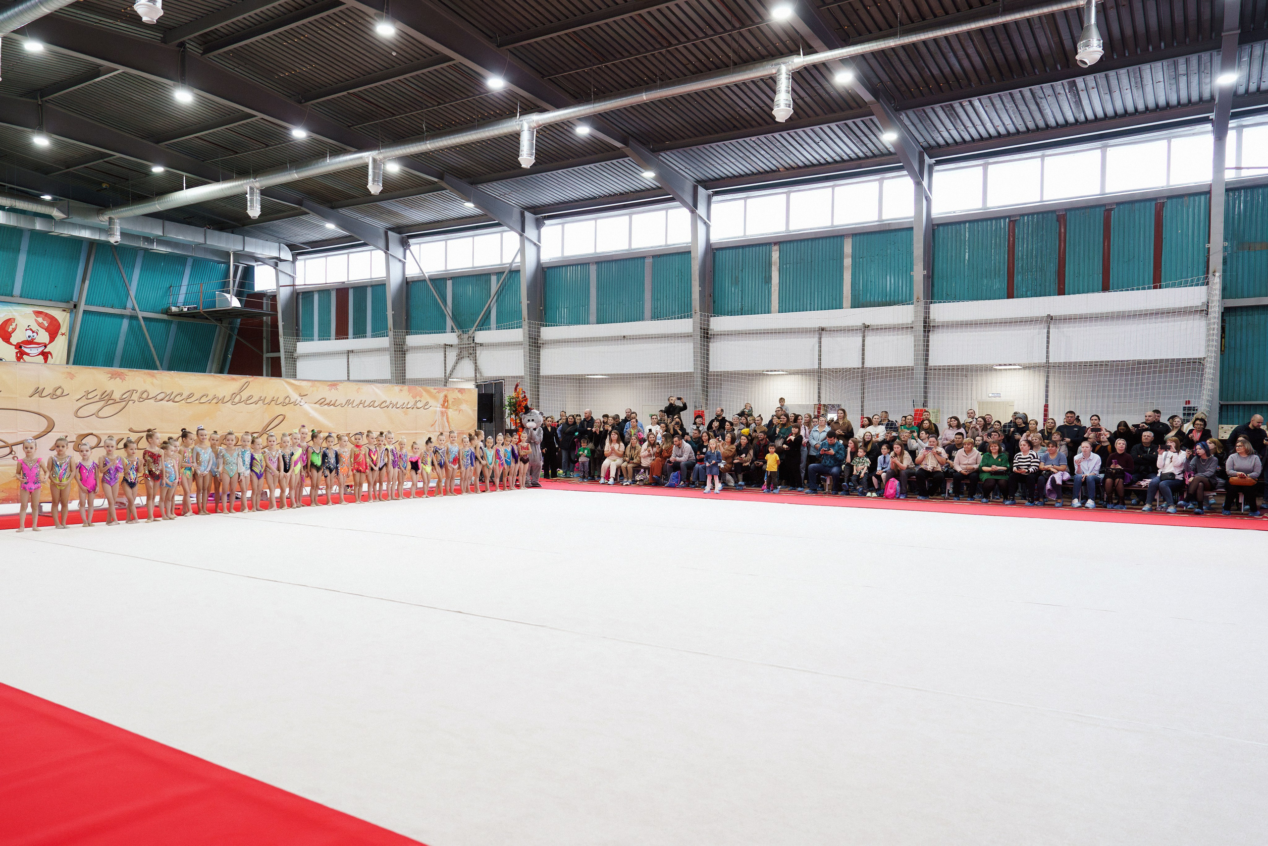 XII городские соревнования по художественной гимнастике «ДЮЙМОВОЧКА». Фотомастерская Воробьевых