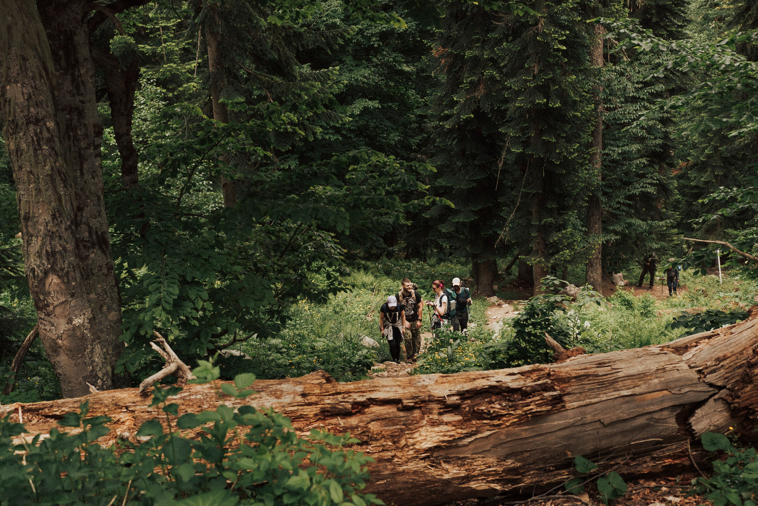 НАША ВЫСОТА 2280. Фотограф Настя Конник | Пятигорск | Эльбрус | Домбай | Архыз | Видеограф КМВ