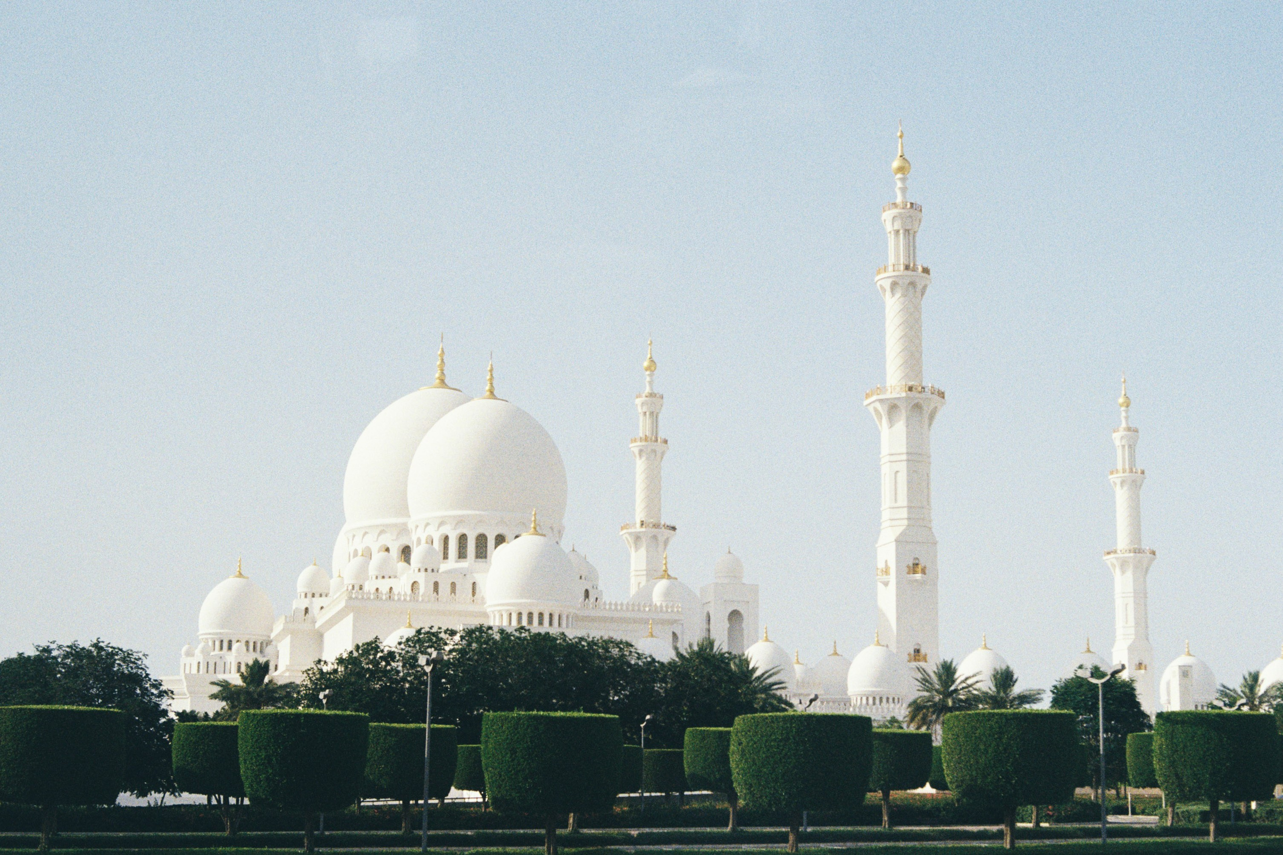 Dubai \ may 2024 \ film 35 mm. Коммерческий Фотограф Виктор Фоменых