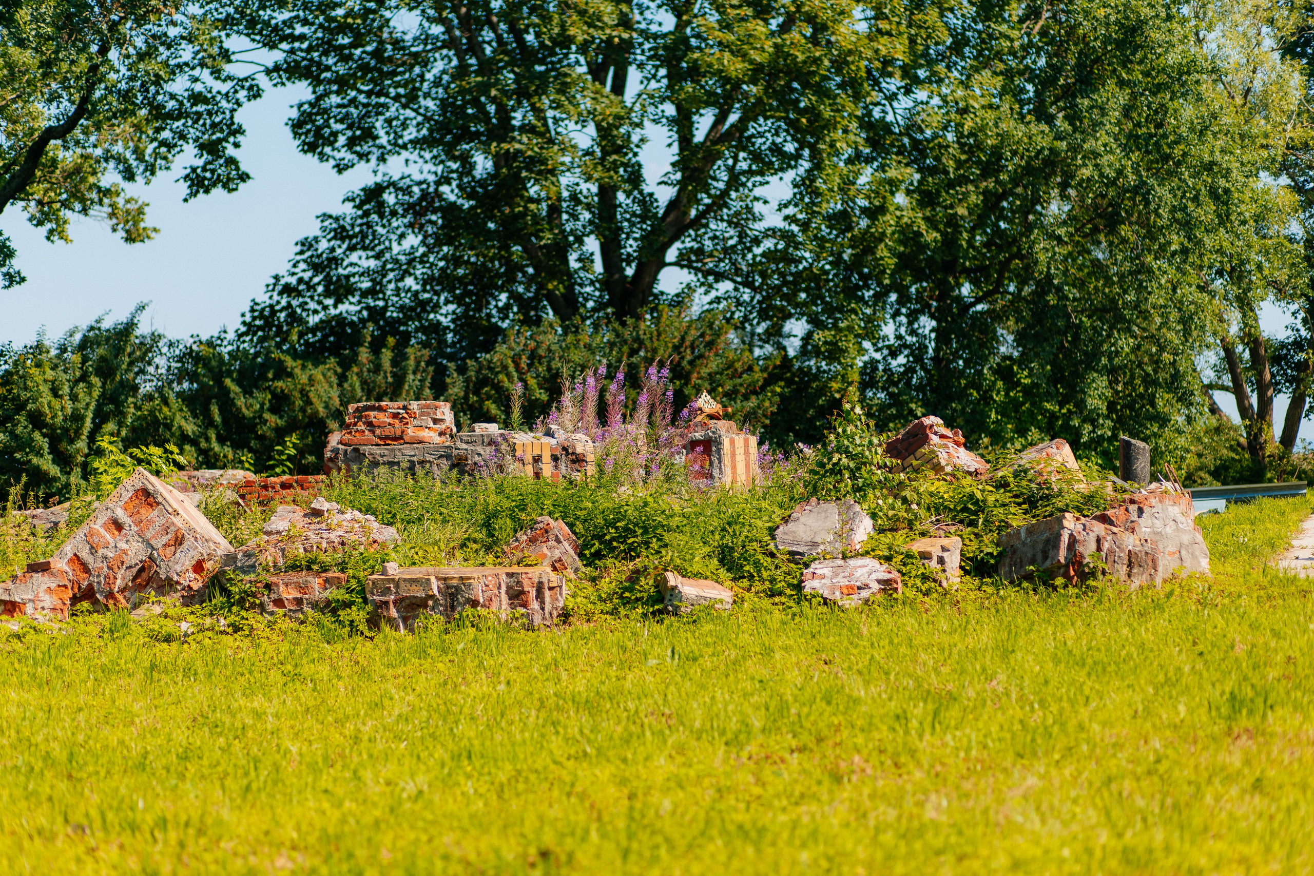 ФОТОСЕССИЯ В ПЕТЕРГОФЕ. ГДЕ СНИМАТЬ В ПЕТЕРГОФЕ