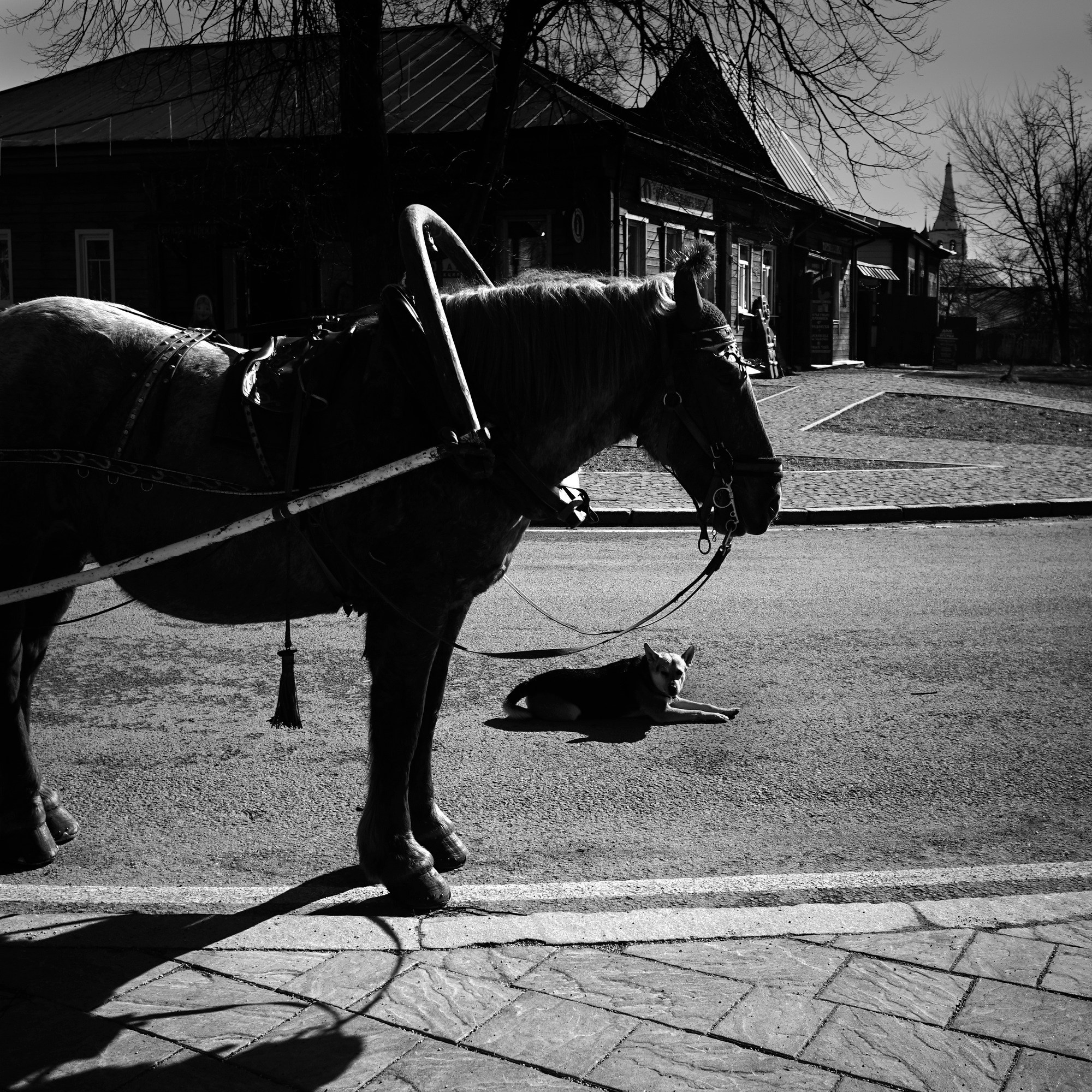 Прогулки по Суздальскому княжеству. Paintings by the artist Sergey Ratchin