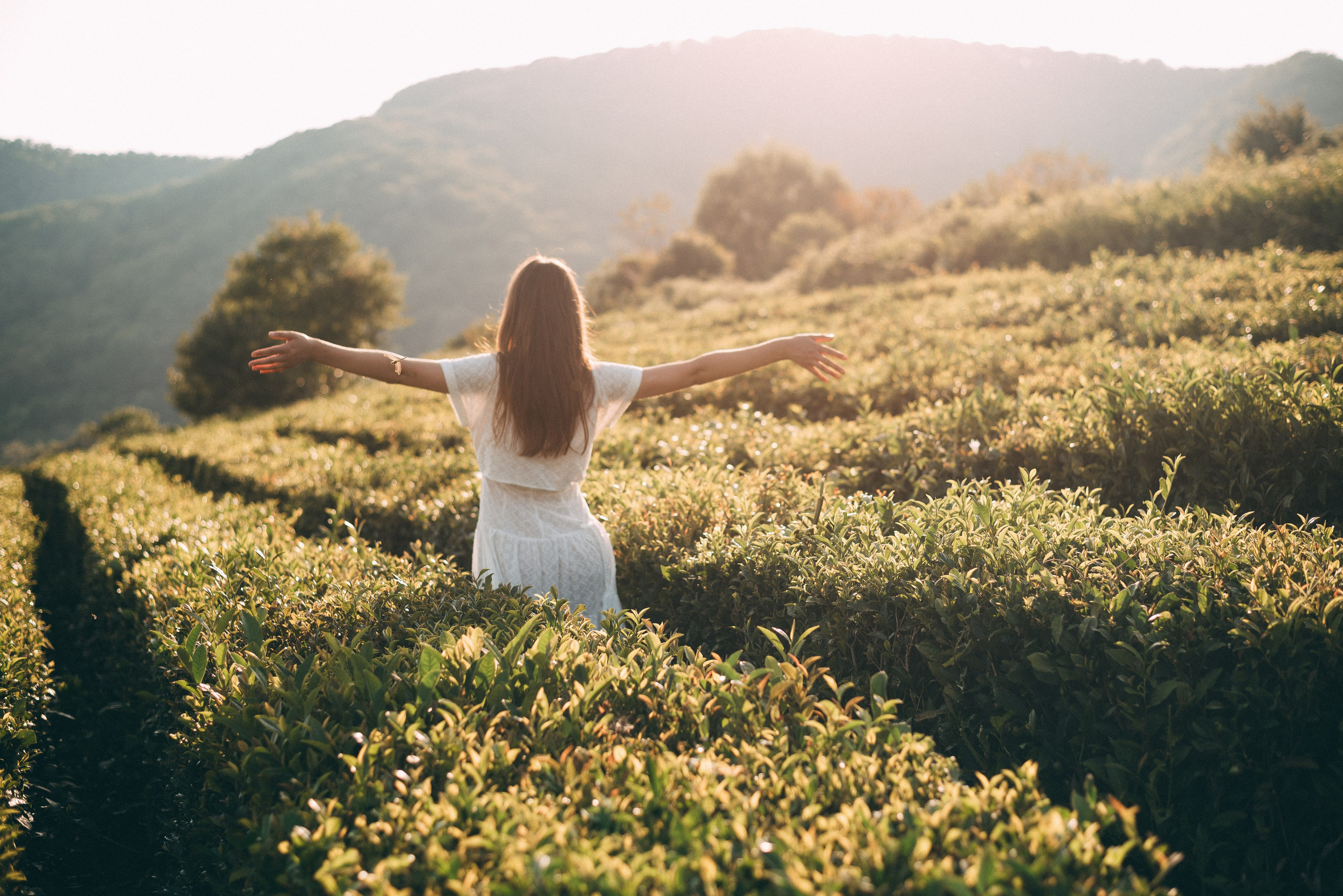 Фотосъемки в горах на чайных плантациях Сочи. Фотограф в Сочи — Маргарита Поганова