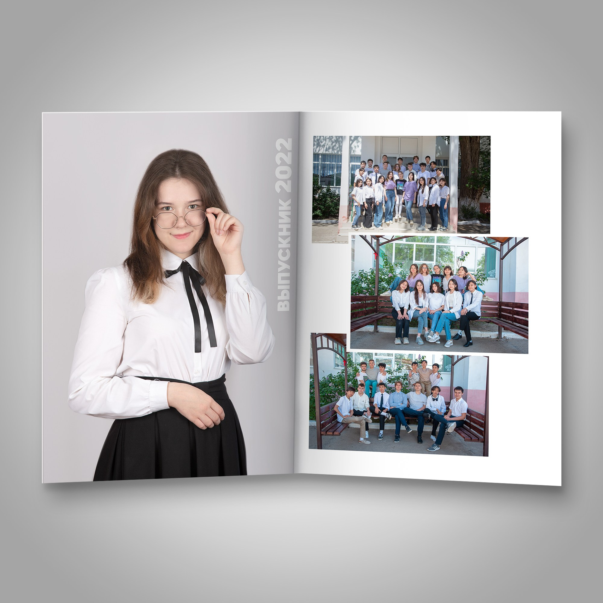 Виньетки, Выпускные альбомы