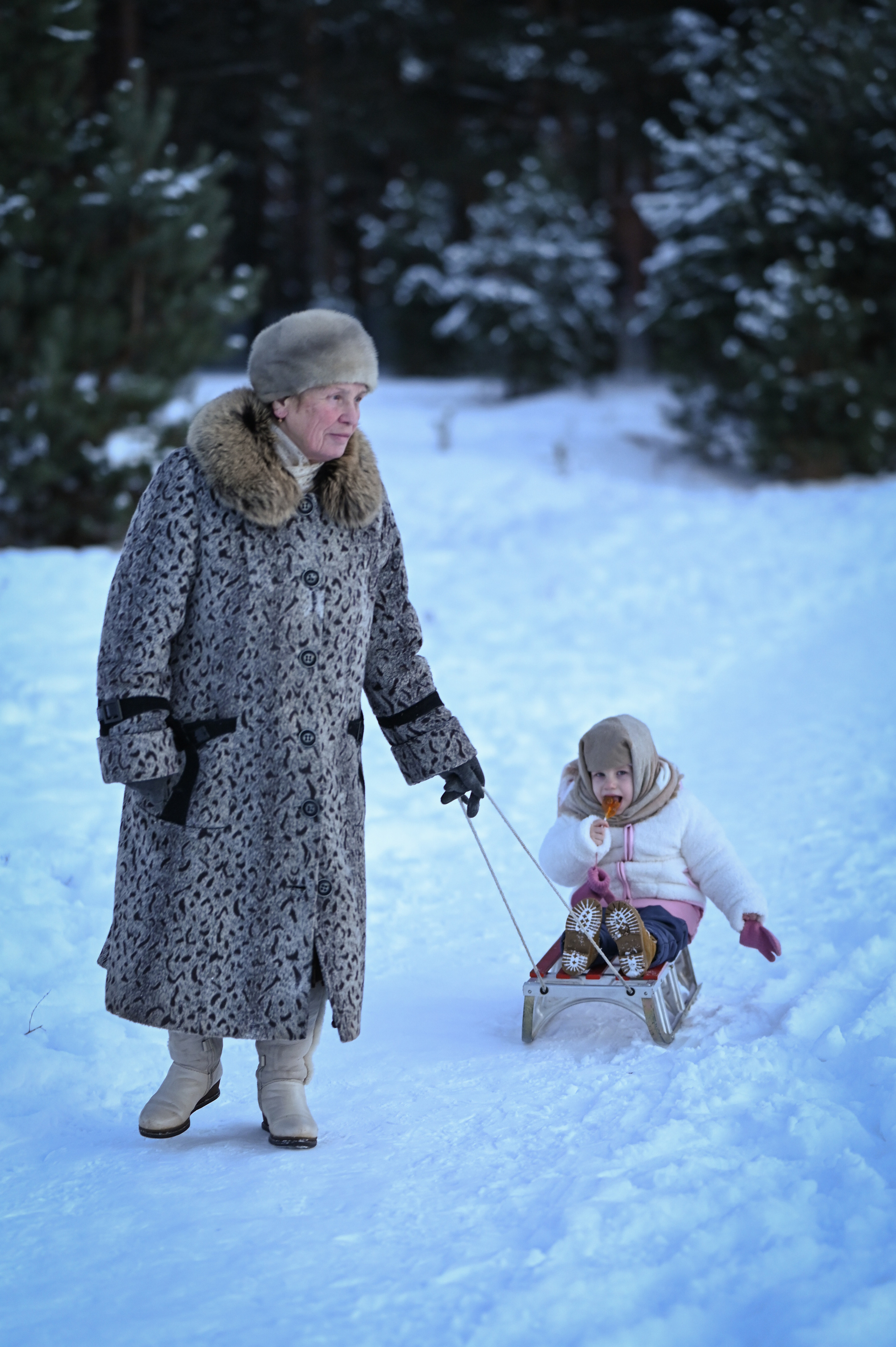 Фотограф в г. Ярославле. Полина Чистякова