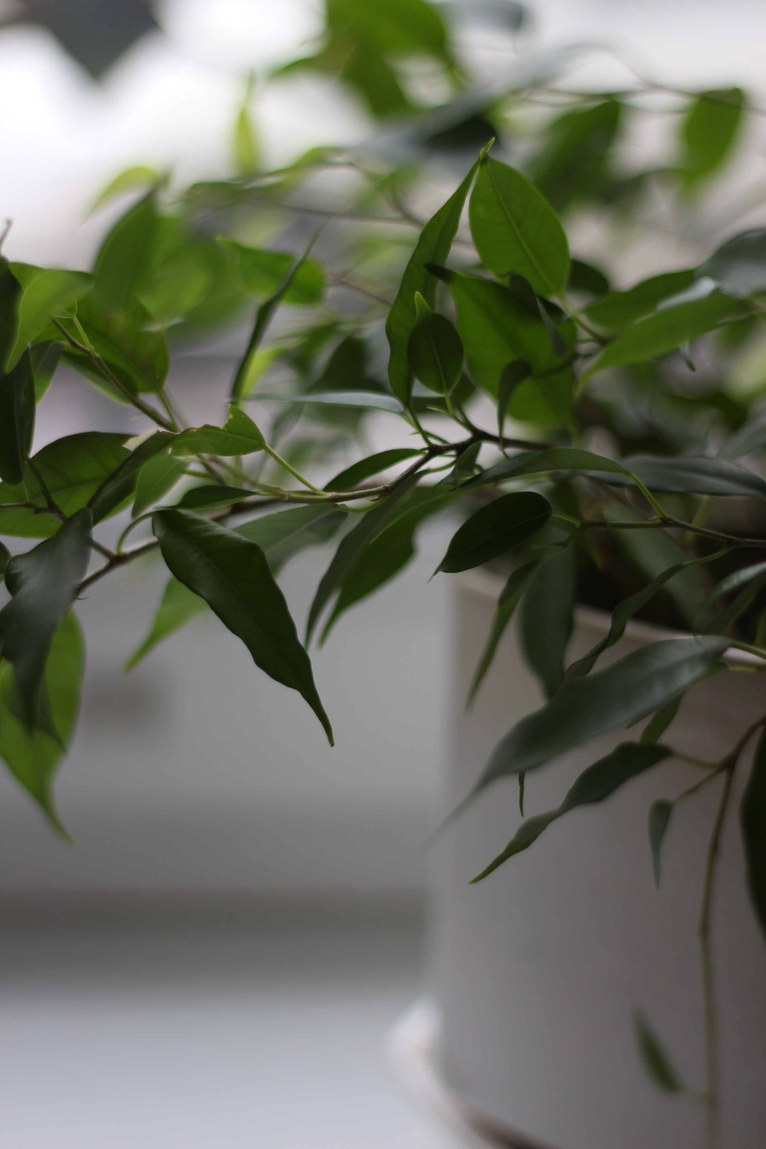 Центр Красоты Души и Тела «Амарант»