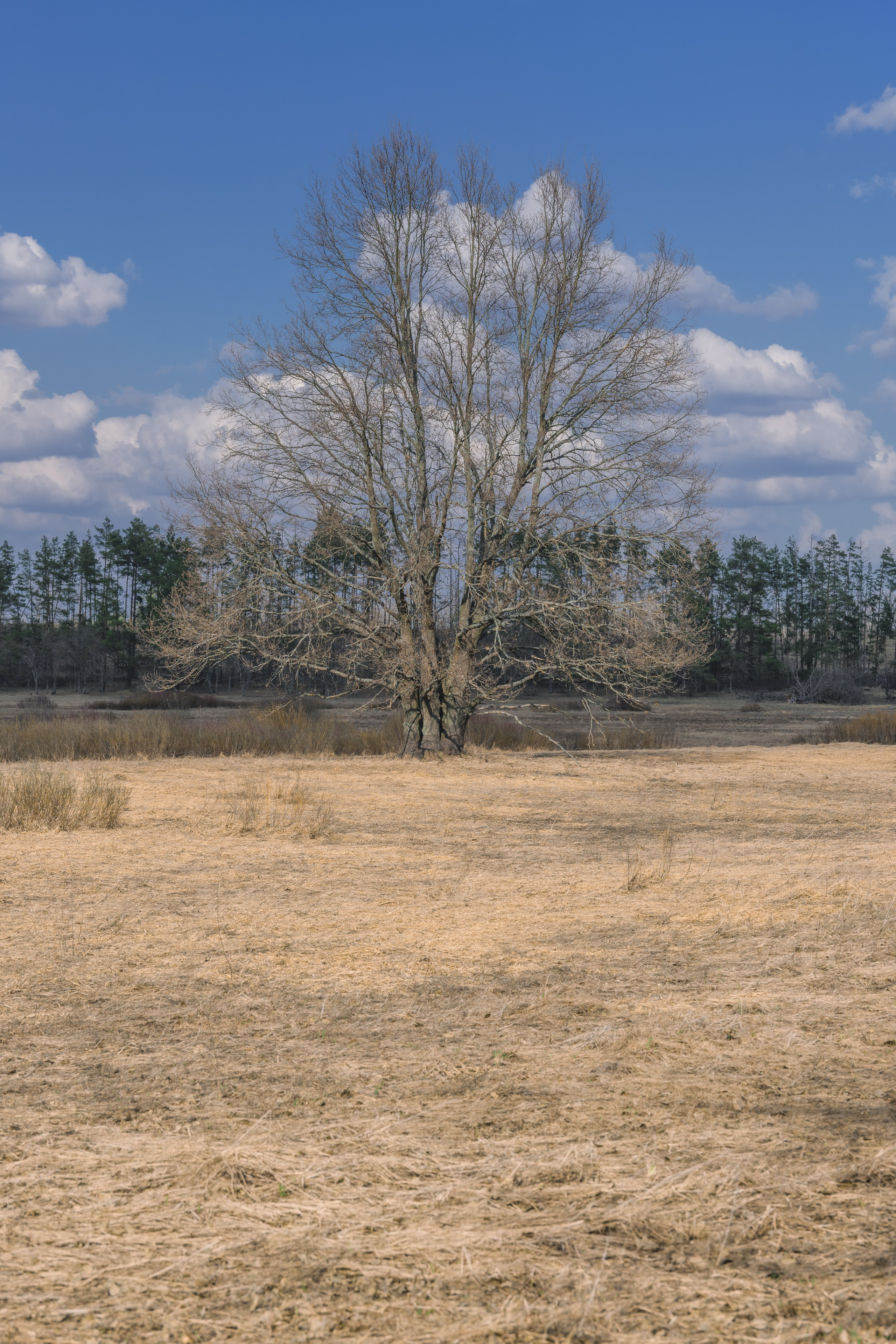 Сплав по реке Ипа 28 марта 2026 года. Репортажный фотограф Владимир Беляй