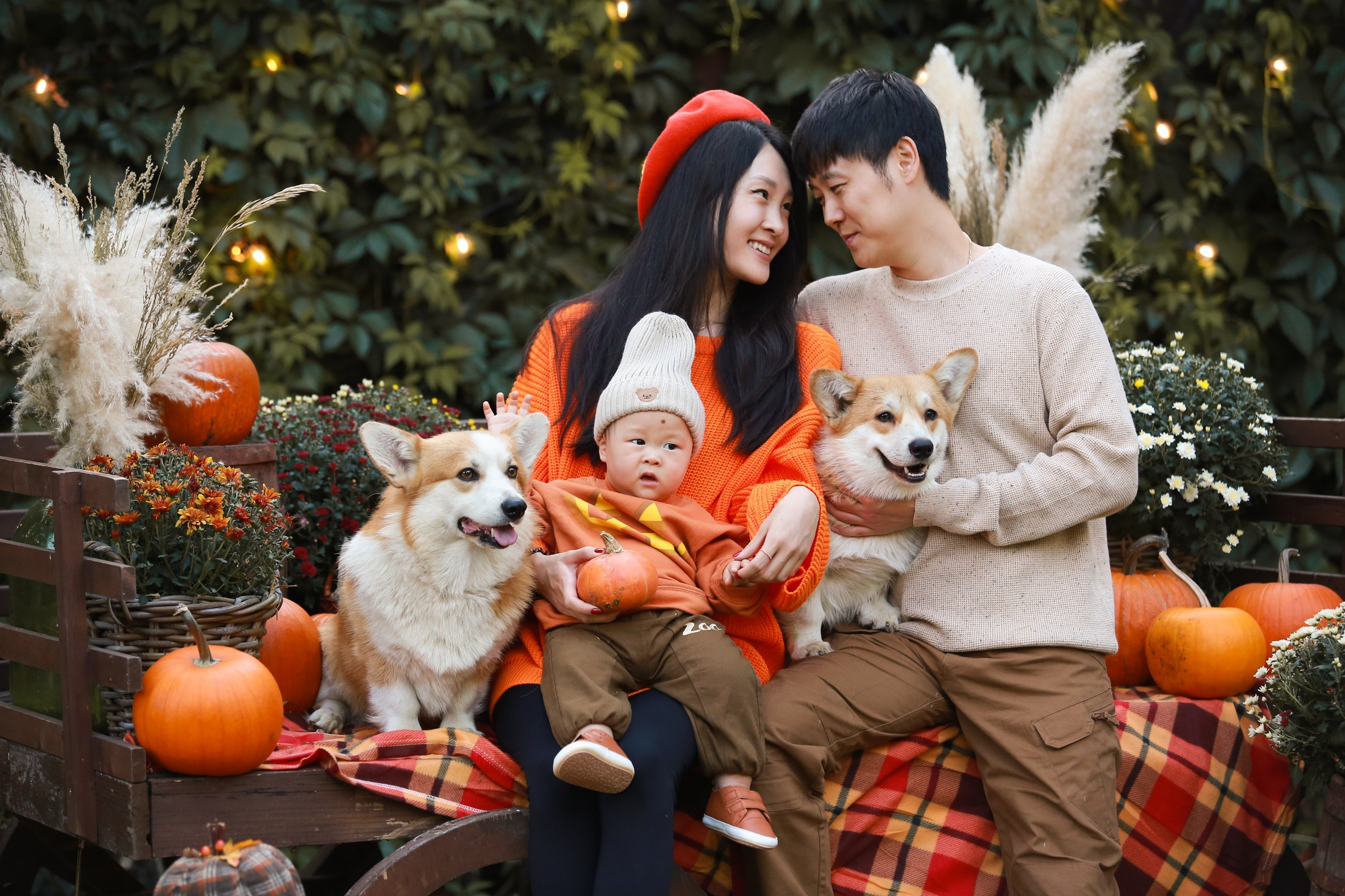 Фотосессия с корги, осенняя фотосессия с корги, аренда корги. Семейный и детский фотограф в Москве Мария Быкова