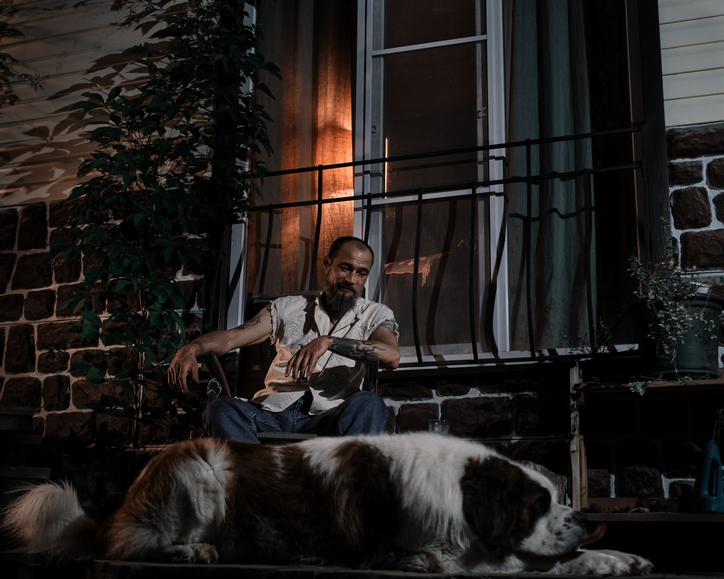 Экспресс фотосессия с любимой собакой. Портретная фотосъемка в Москве. Фотограф Алексей Афанасьев