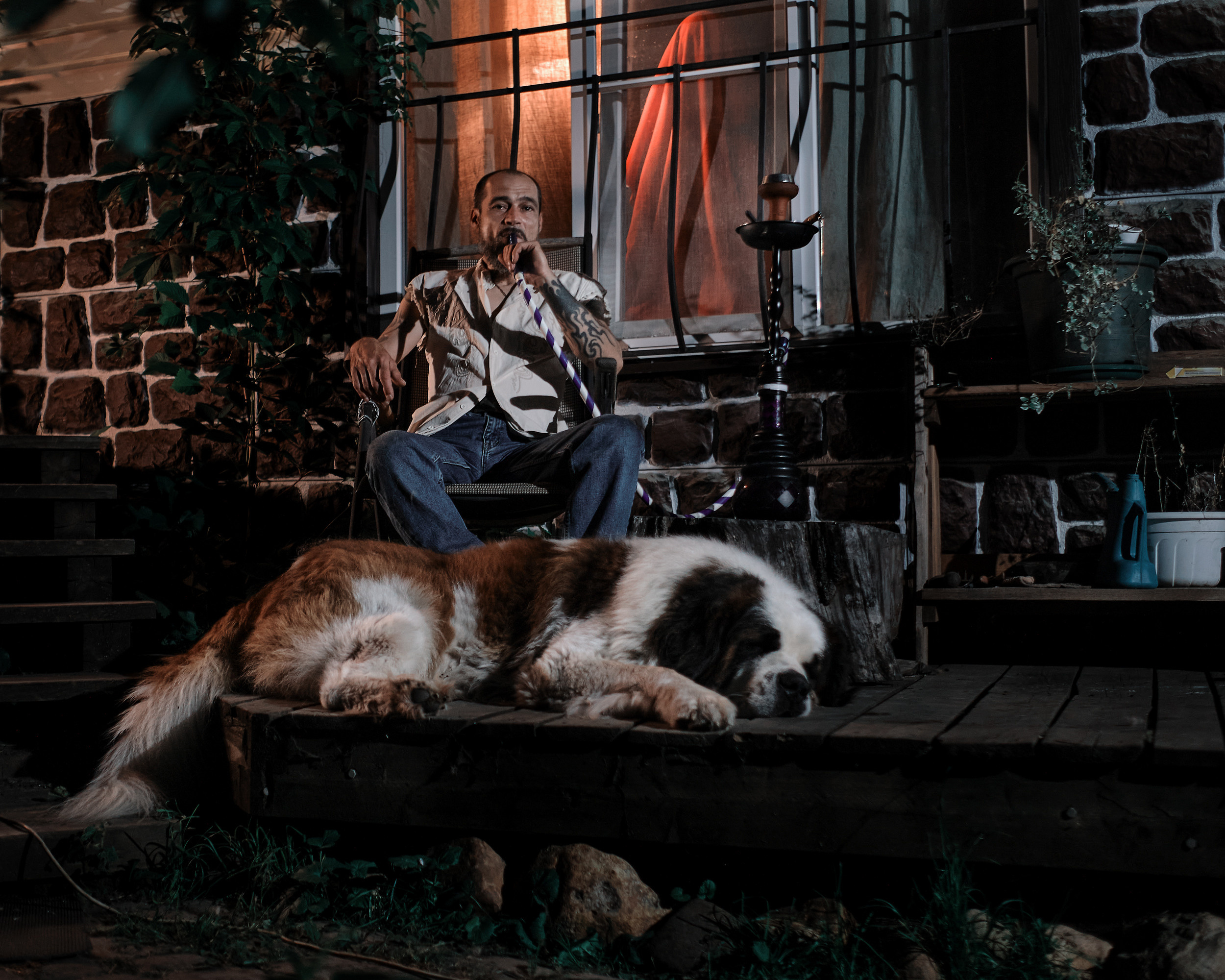 Экспресс фотосессия с любимой собакой. Портретная фотосъемка в Москве. Фотограф Алексей Афанасьев