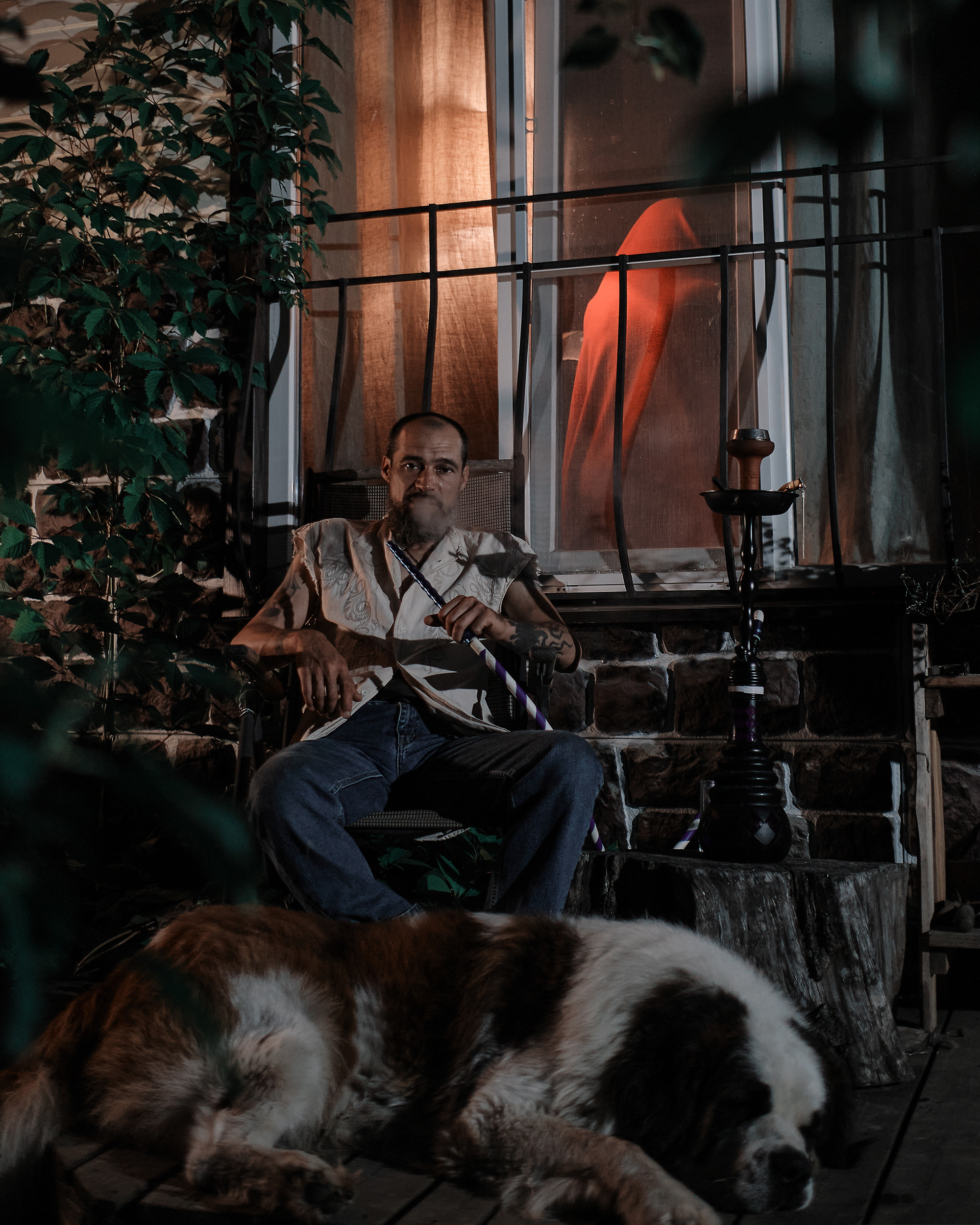 Экспресс фотосессия с любимой собакой. Портретная фотосъемка в Москве. Фотограф Алексей Афанасьев