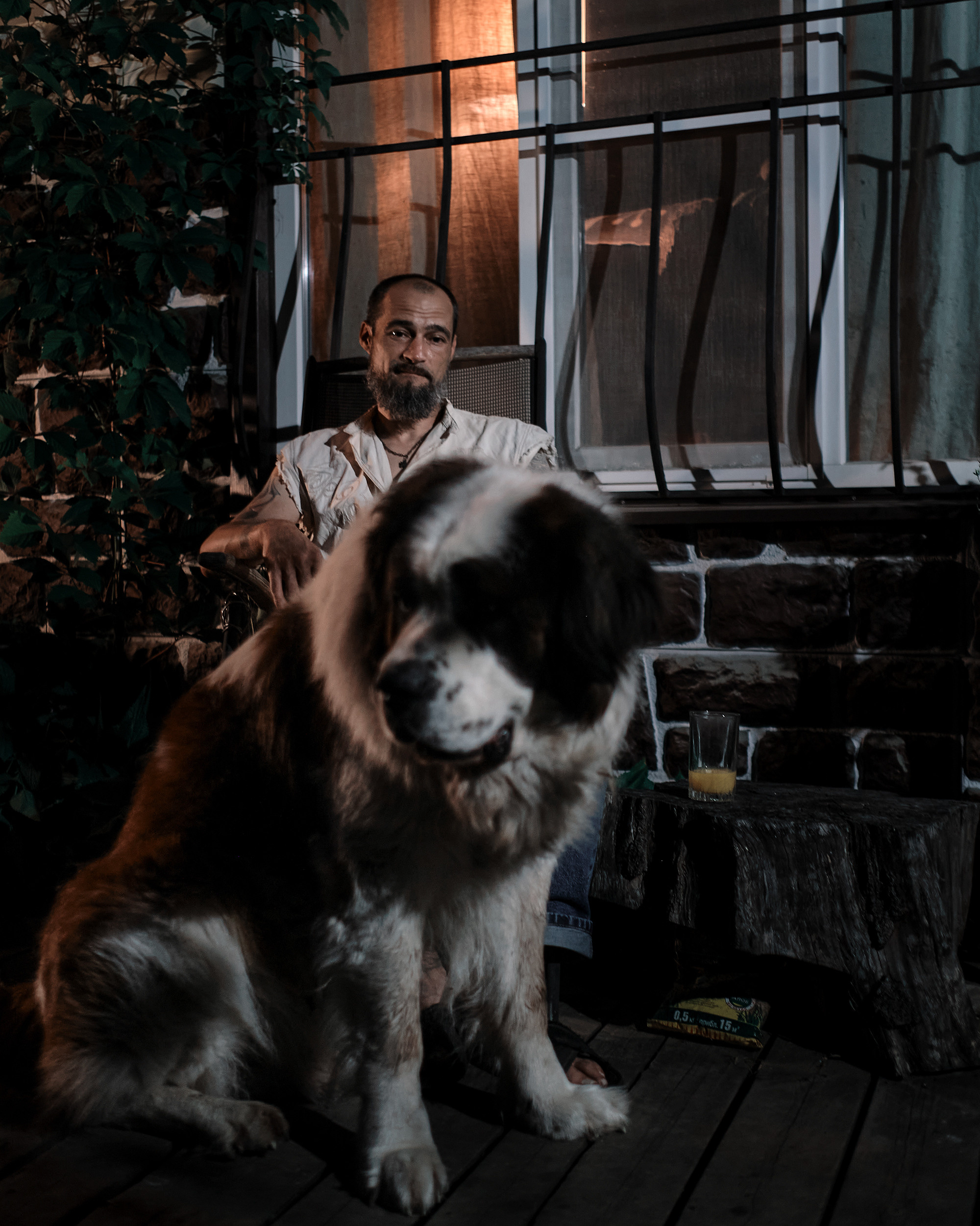 Экспресс фотосессия с любимой собакой. Портретная фотосъемка в Москве. Фотограф Алексей Афанасьев