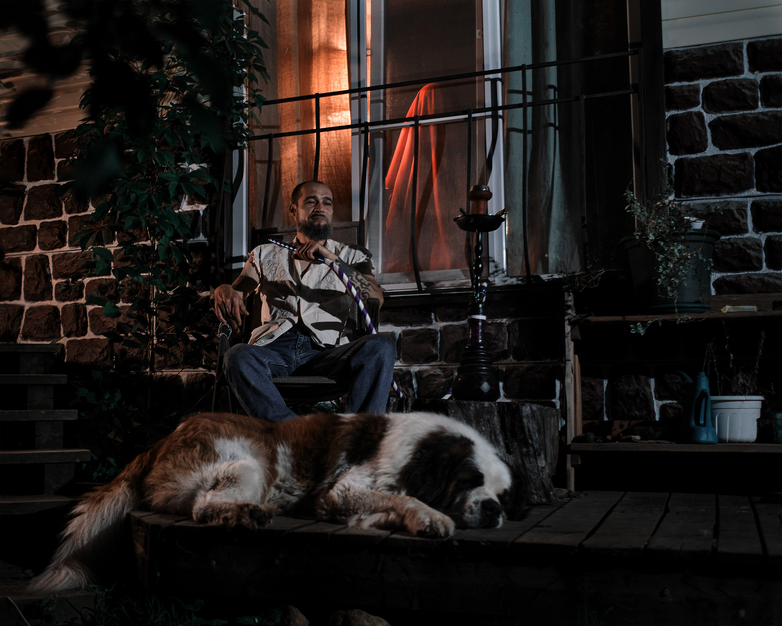 Экспресс фотосессия с любимой собакой. Портретная фотосъемка в Москве. Фотограф Алексей Афанасьев